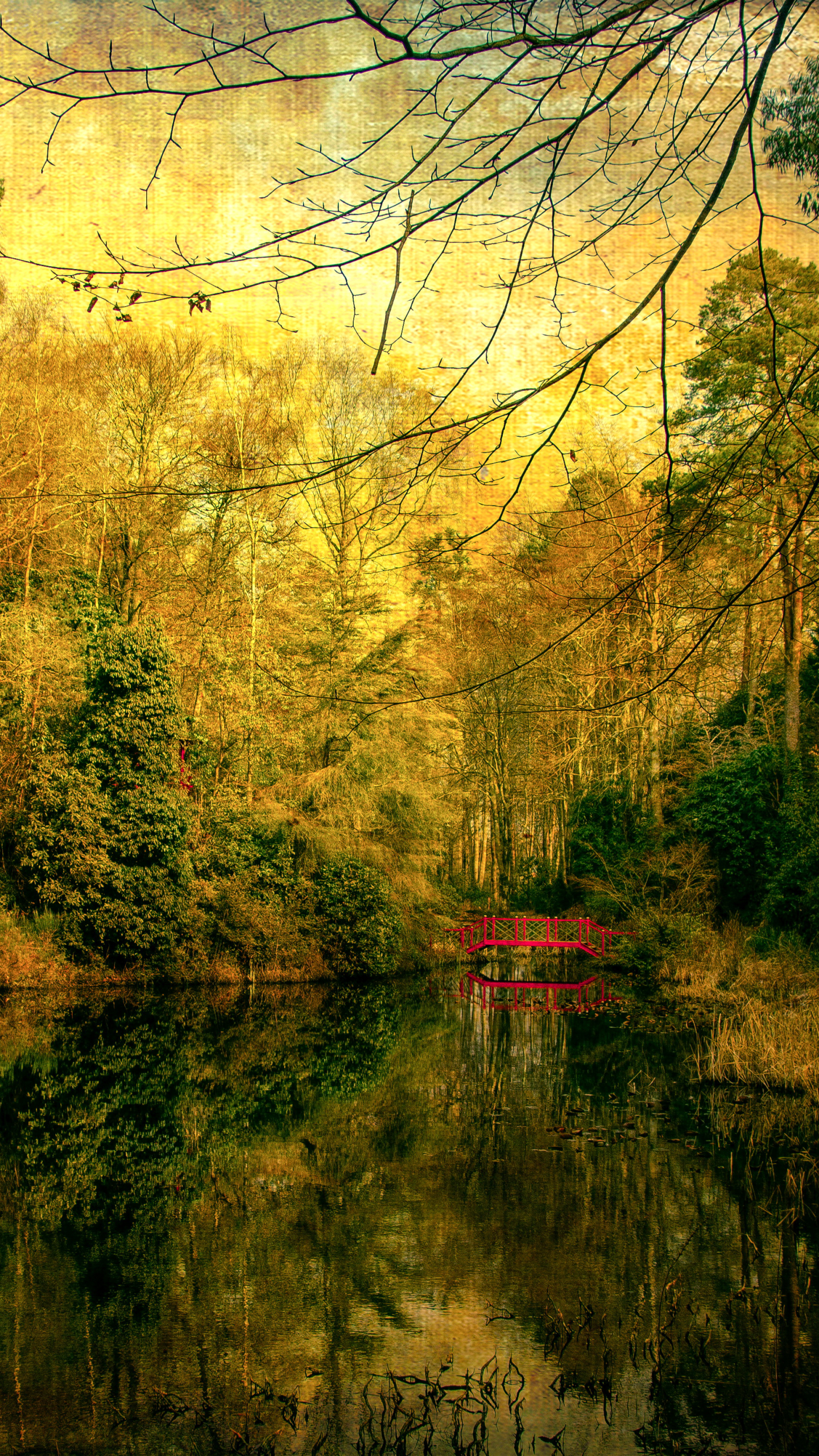 Descarga gratuita de fondo de pantalla para móvil de Naturaleza, Lago, Árbol, Tierra/naturaleza, Reflejo.