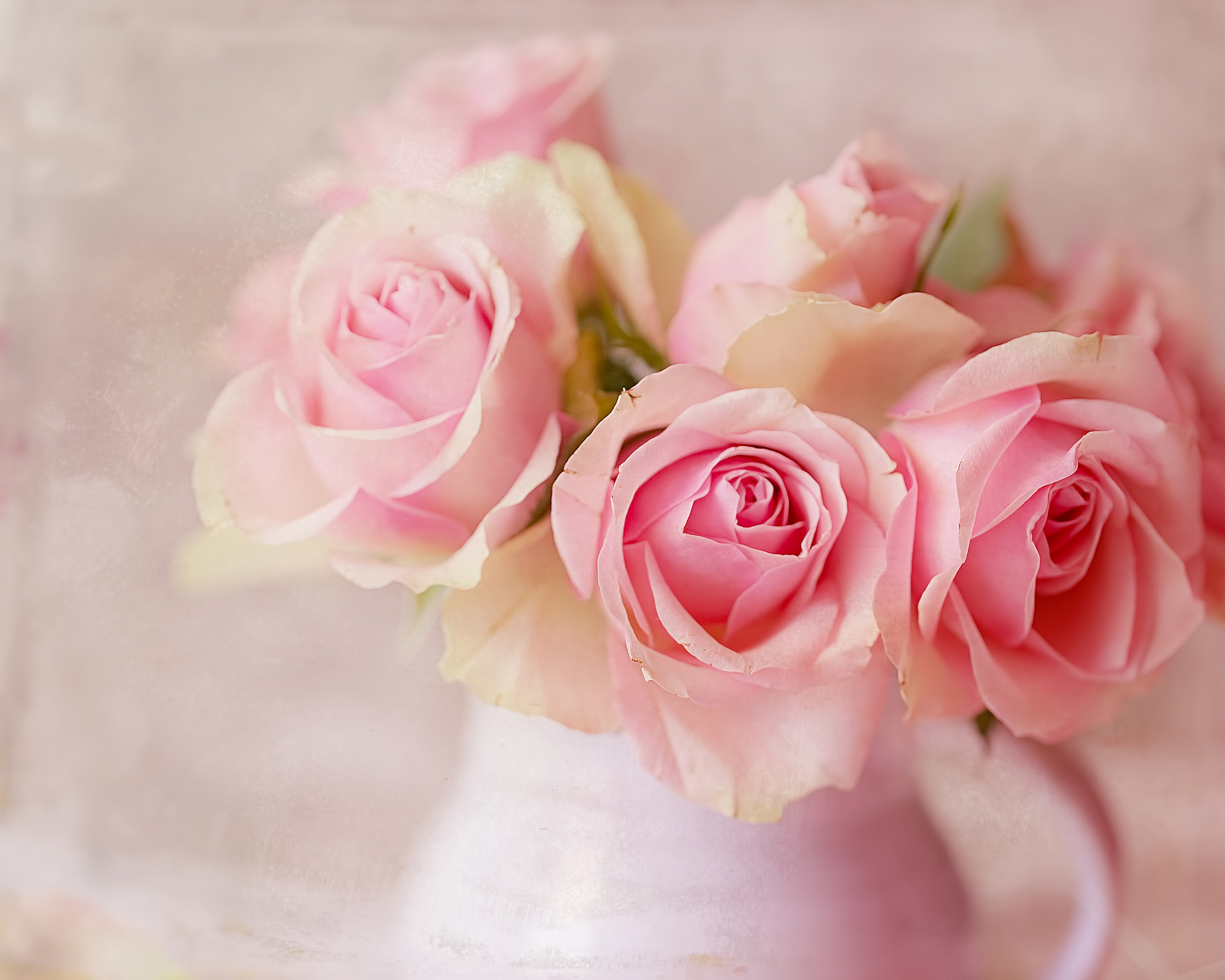 無料モバイル壁紙花, 薔薇, マンメイド, ピンクの花をダウンロードします。