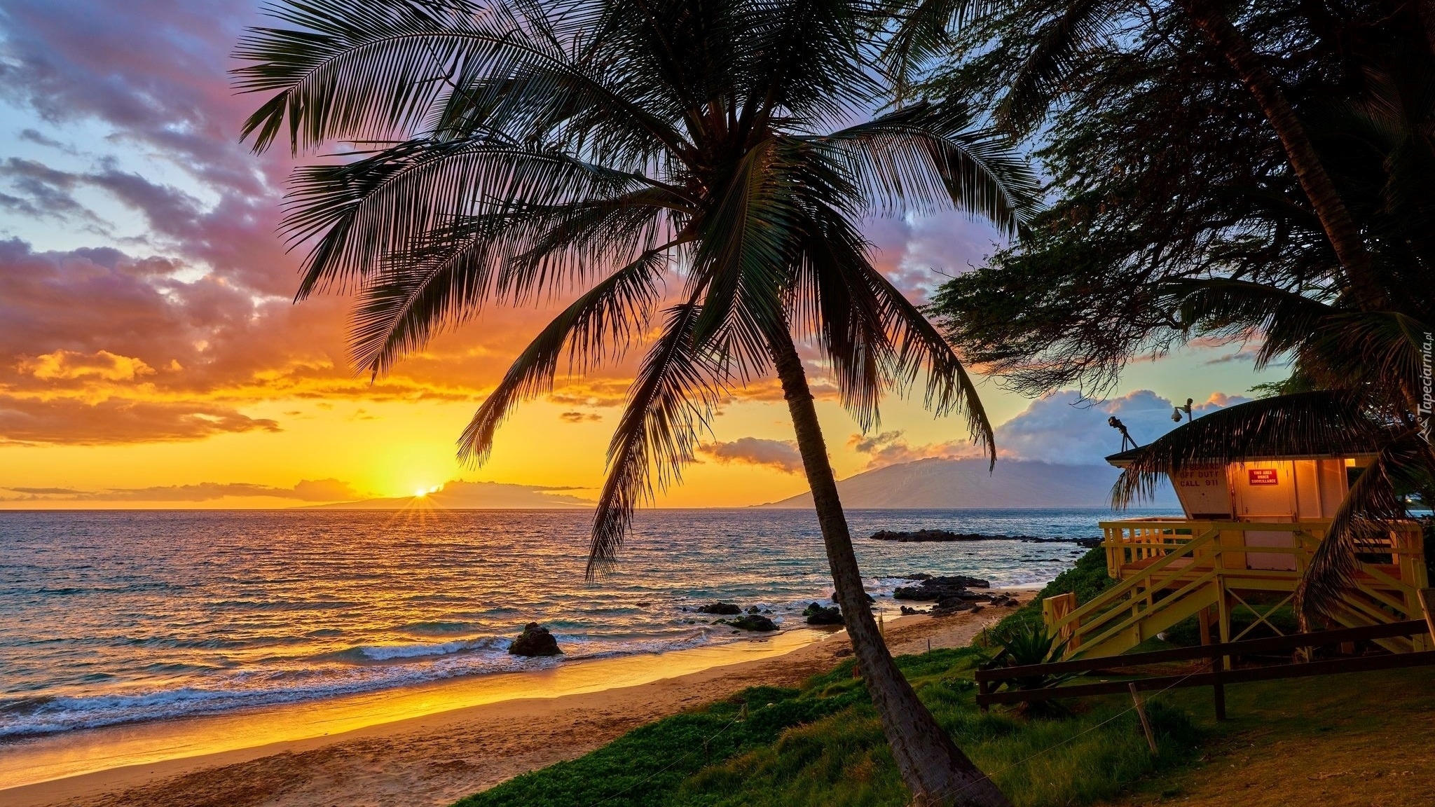 Download mobile wallpaper Sunset, Summer, Holiday, Earth, Hawaii, Palm Tree for free.