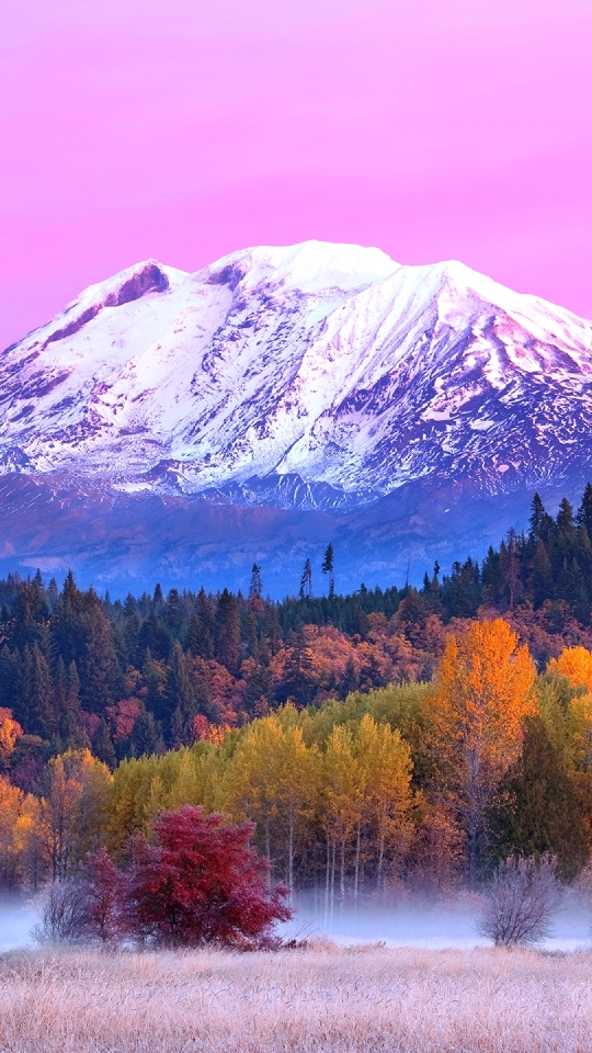 Скачать картинку Горы, Осень, Гора, Лес, Вашингтон, Падать, Земля/природа, Гора Адамс в телефон бесплатно.