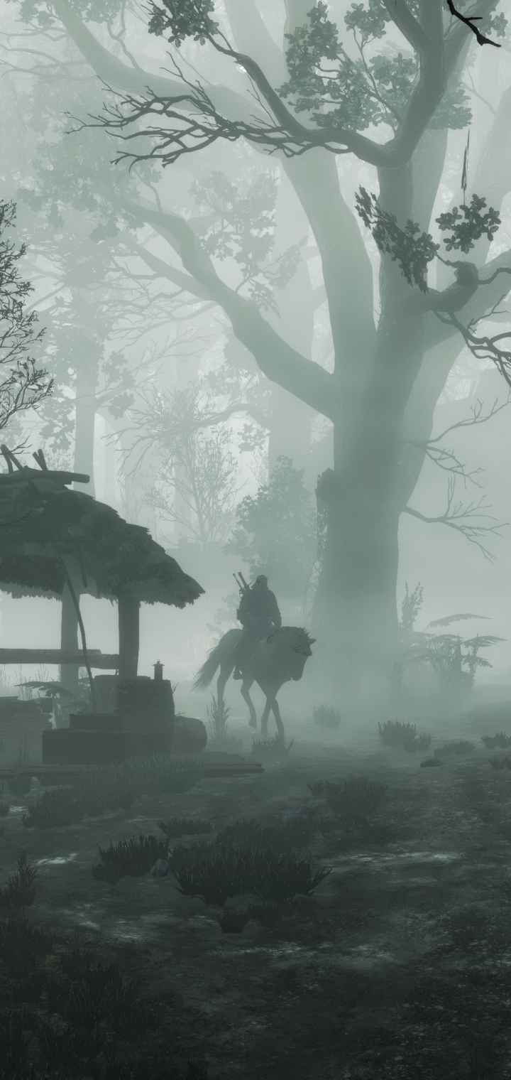 Téléchargez des papiers peints mobile Brouillard, Jeux Vidéo, Le Sorceleur, Geralt De Riv, The Witcher 3: Wild Hunt gratuitement.