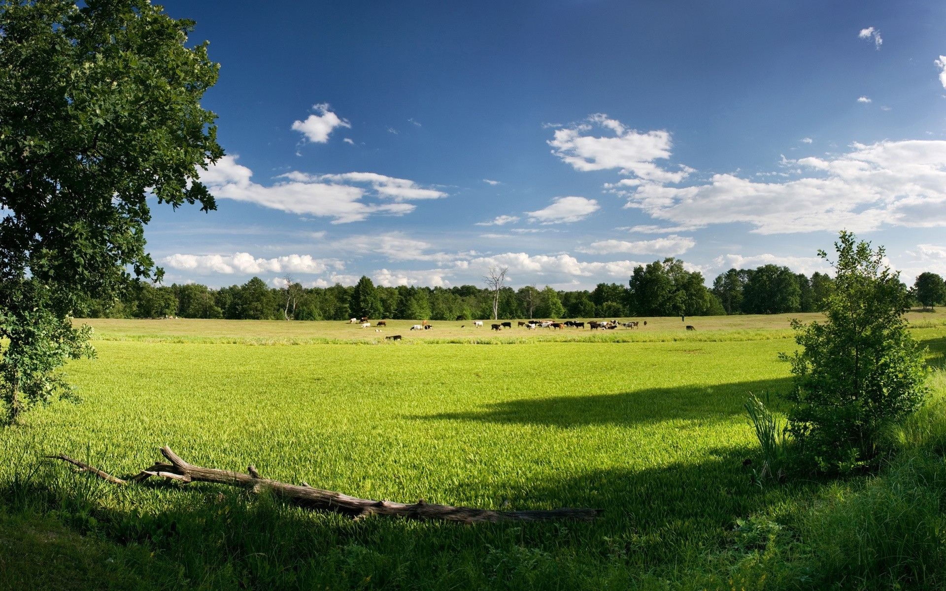 Descarga gratis la imagen Paisaje, Tierra/naturaleza en el escritorio de tu PC