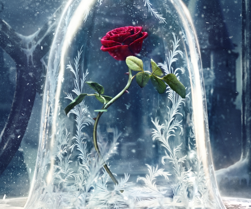Download mobile wallpaper Flower, Rose, Red Rose, Movie, Beauty And The Beast (2017) for free.