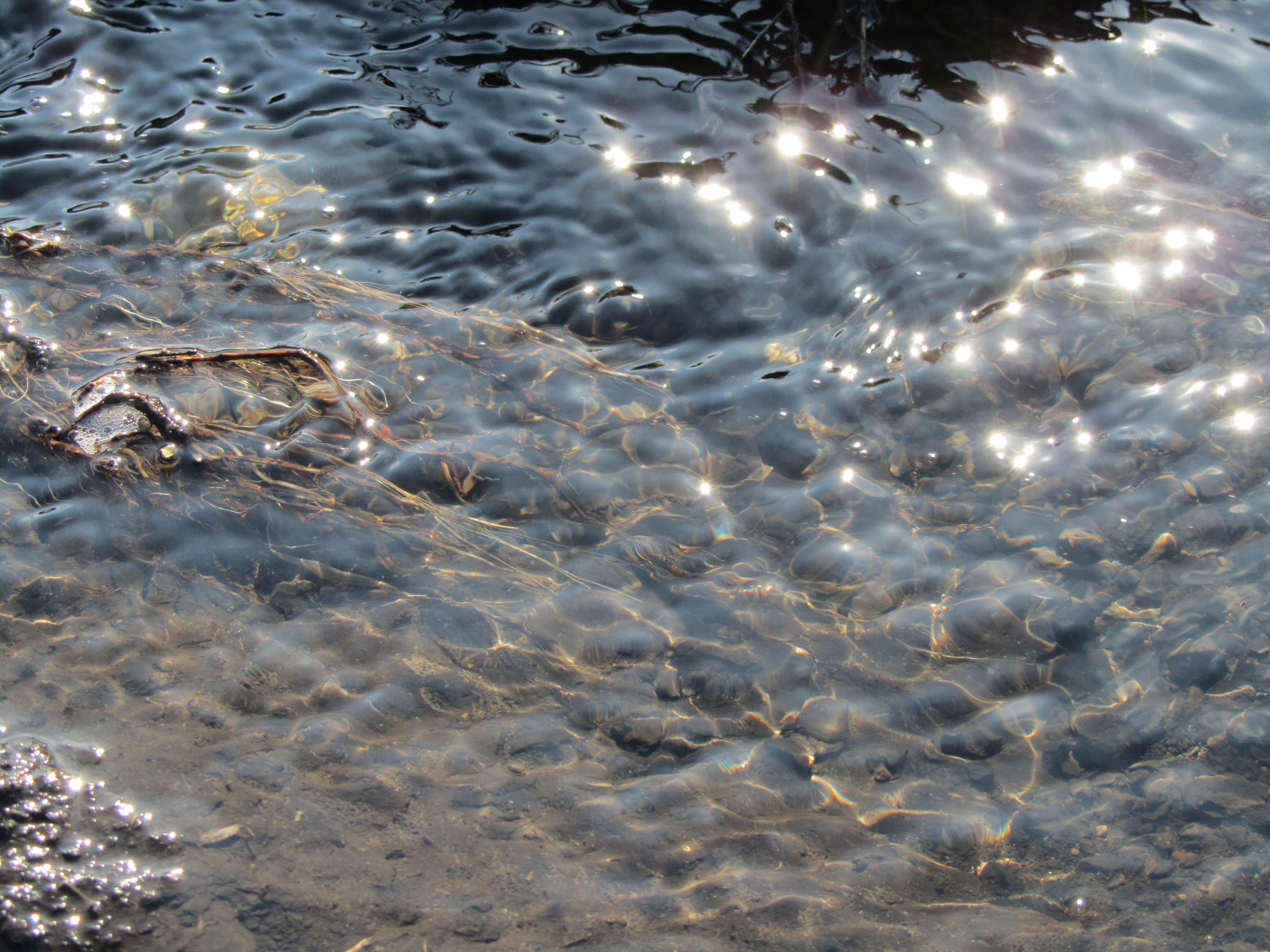 Скачати мобільні шпалери Вода, Земля безкоштовно.