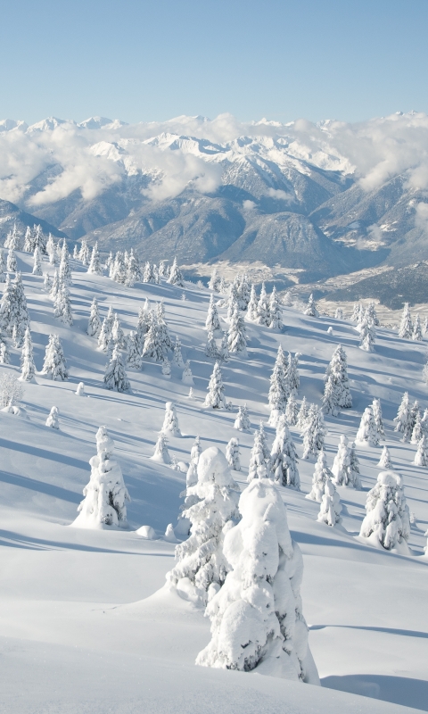 Скачать картинку Зима, Снег, Гора, Лес, Земля/природа в телефон бесплатно.