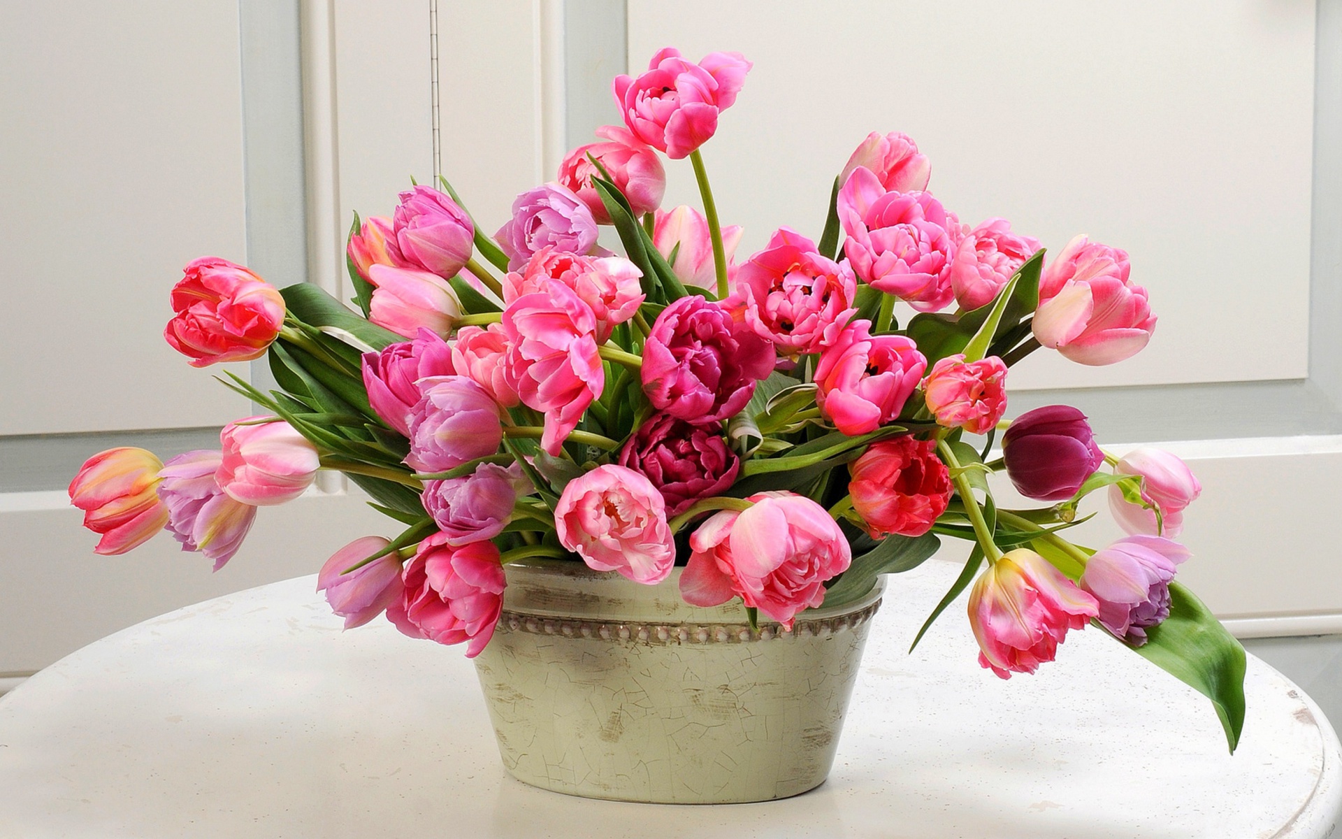 Download mobile wallpaper Still Life, Flower, Close Up, Vase, Tulip, Man Made, Pink Flower for free.