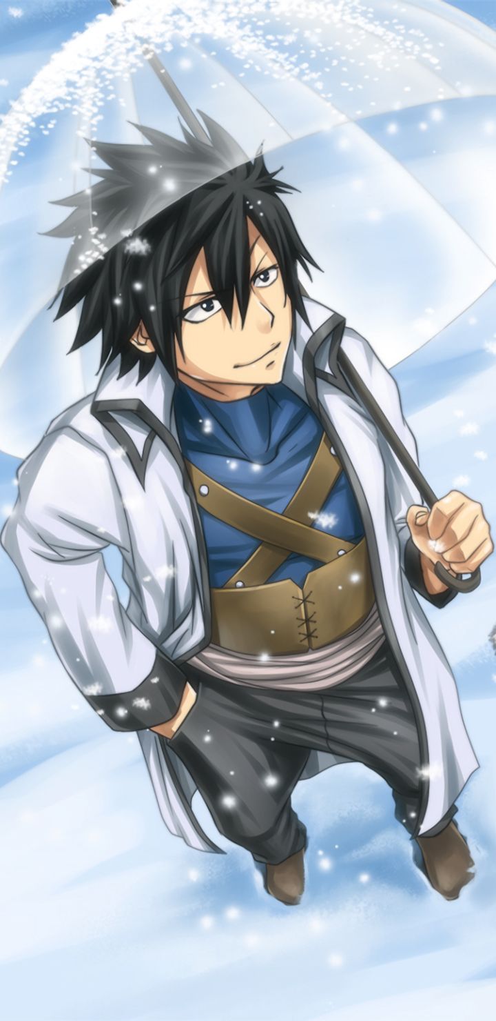 Descarga gratuita de fondo de pantalla para móvil de Fairy Tail, Animado, Fullbuster Gris.