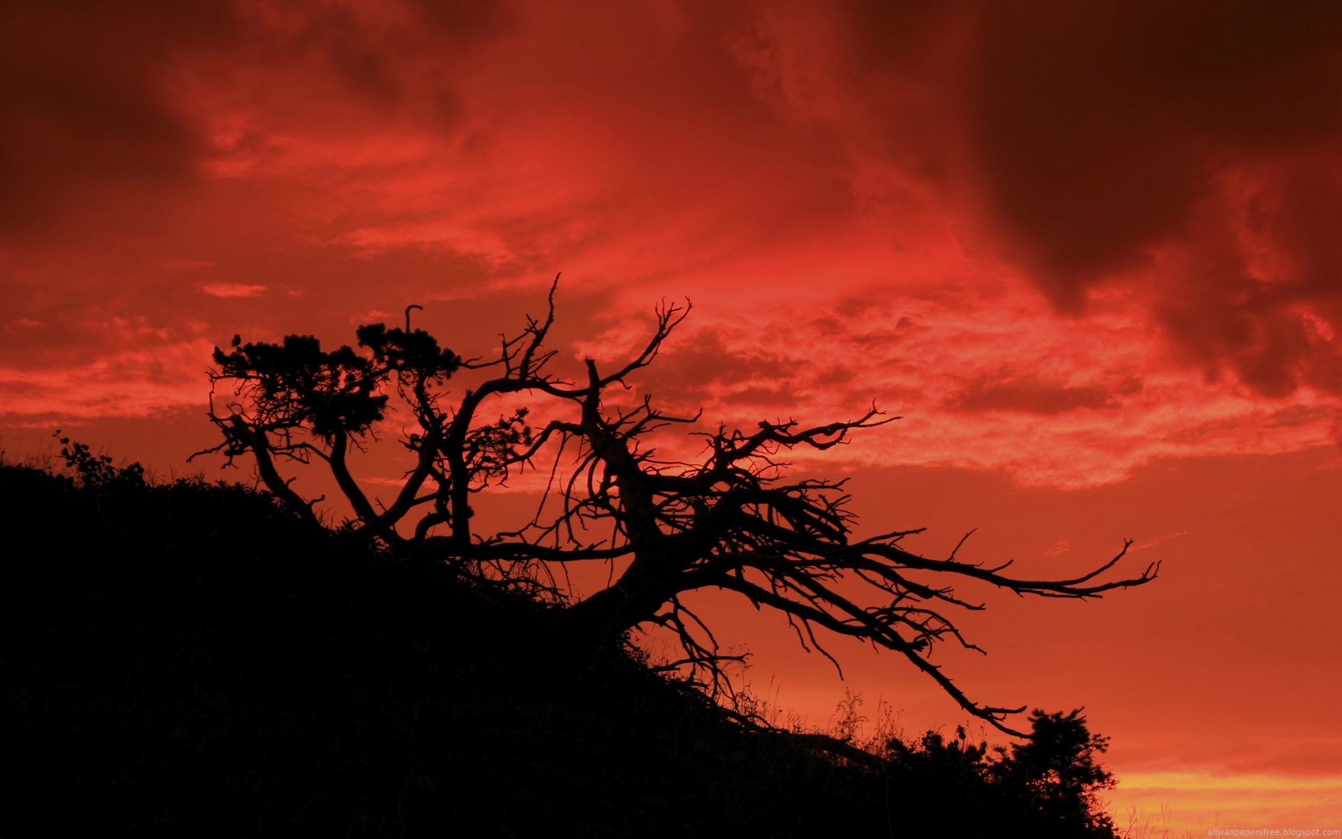 Téléchargez gratuitement l'image Coucher De Soleil, Terre/nature sur le bureau de votre PC