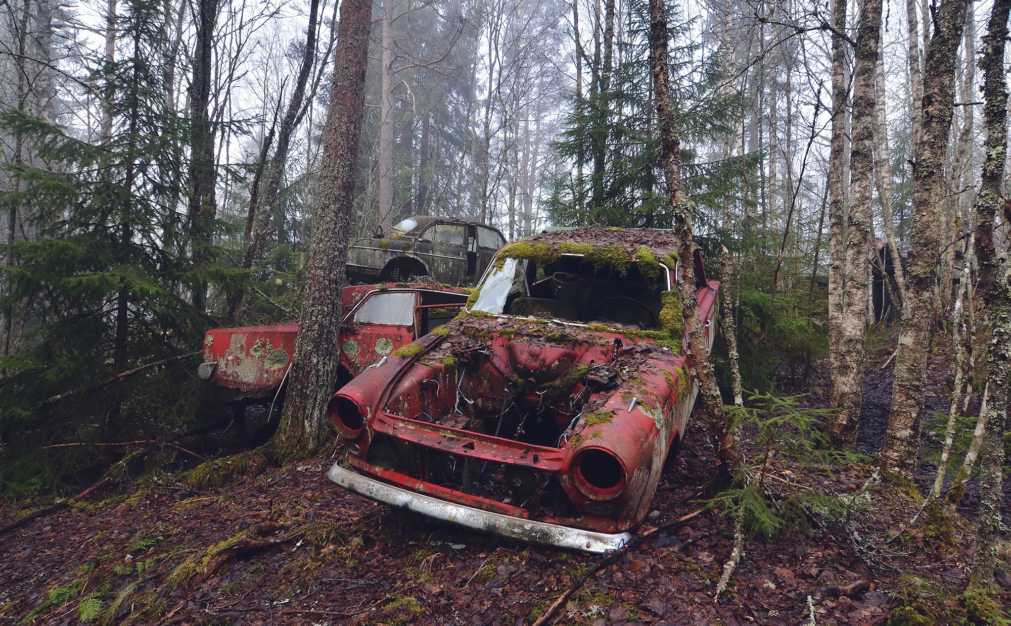 Free download wallpaper Forest, Tree, Car, Wreck, Vehicles on your PC desktop