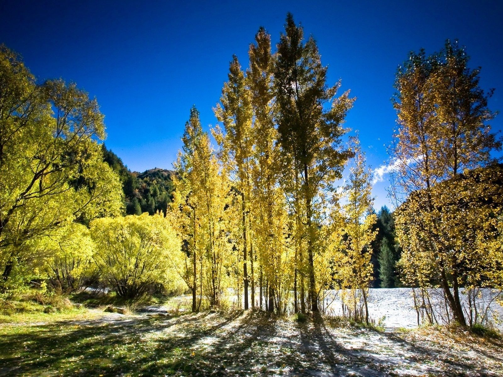 Laden Sie das Natur, Bäume, Licht, Scheinen, Herbst-Bild kostenlos auf Ihren PC-Desktop herunter