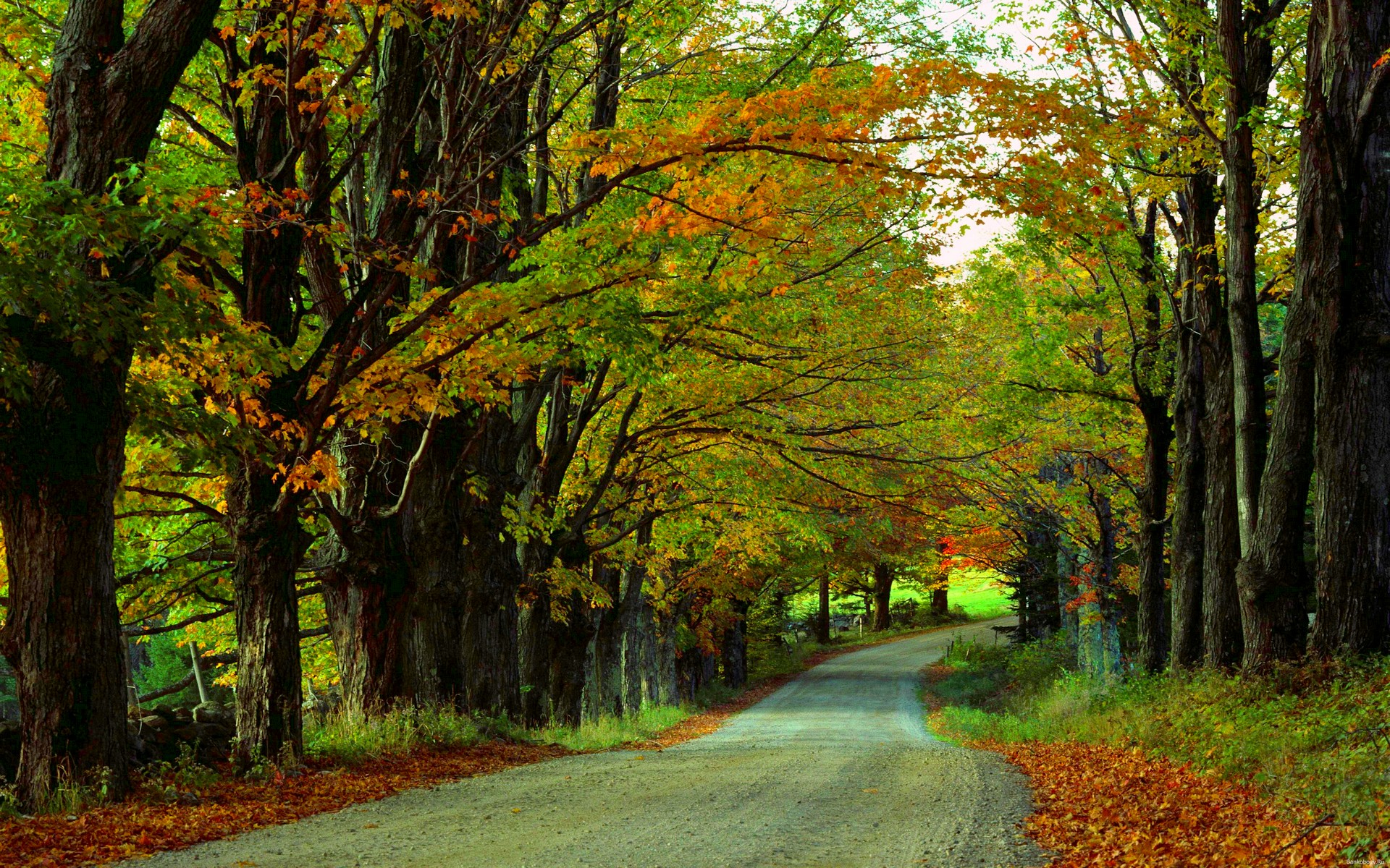 Téléchargez des papiers peints mobile Automne, Route, Forêt, Arbre, Construction Humaine gratuitement.