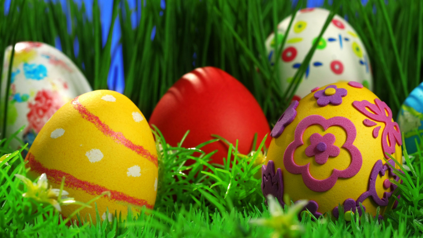 eggs, holidays, objects, green Free Stock Photo