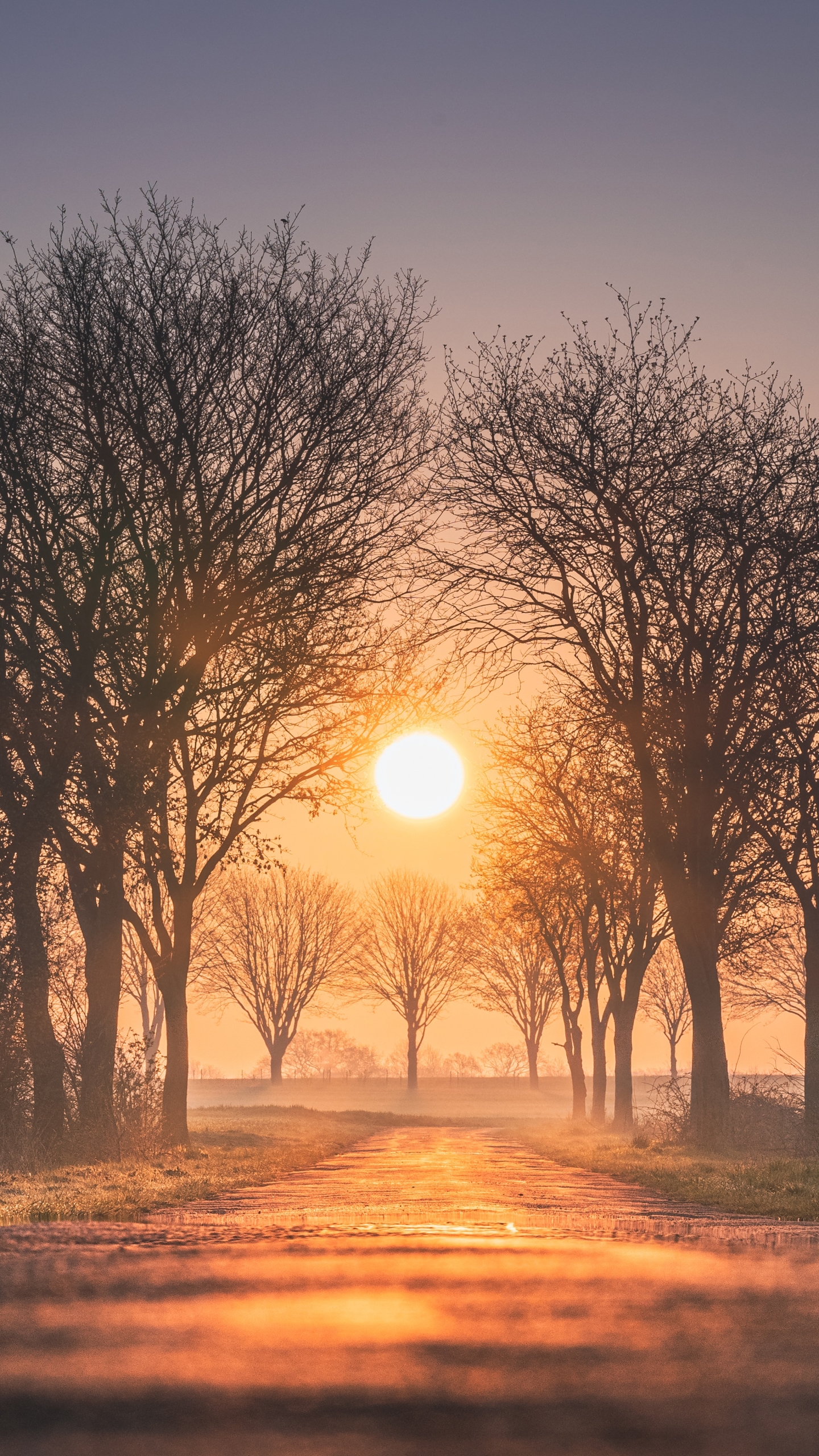 Download mobile wallpaper Sun, Dawn, Road, Sunrise, Earth, Germany for free.