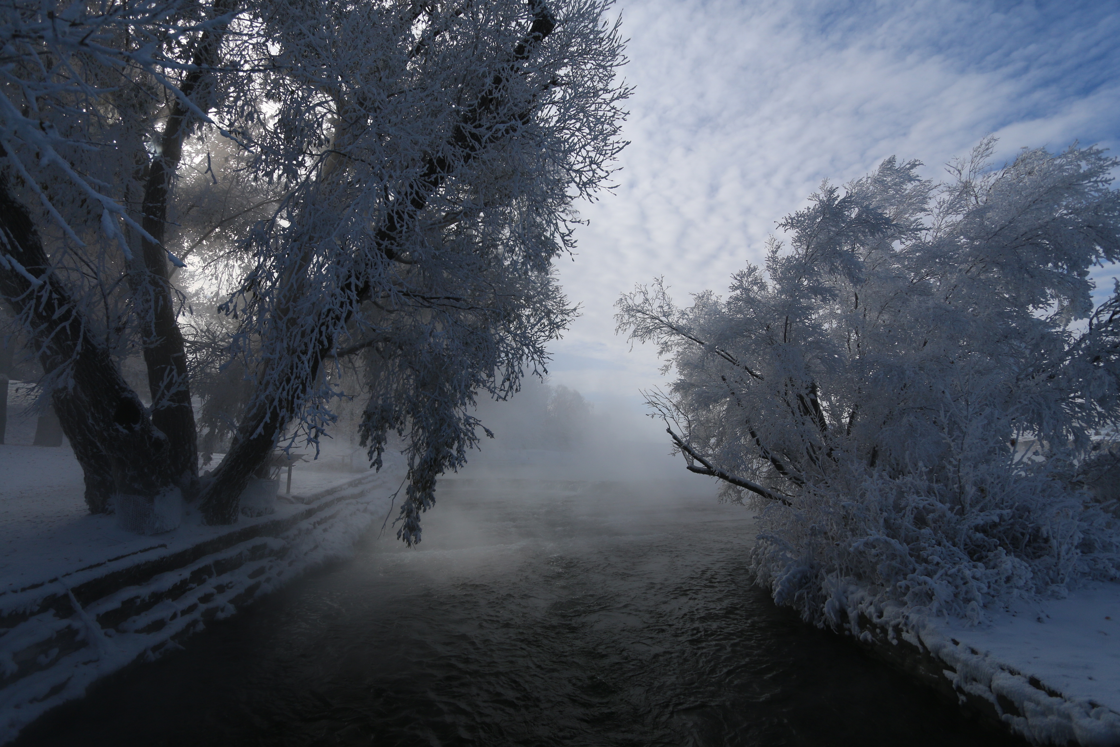 Descarga gratis la imagen Invierno, Nieve, Rio, Árbol, Niebla, Tierra/naturaleza en el escritorio de tu PC