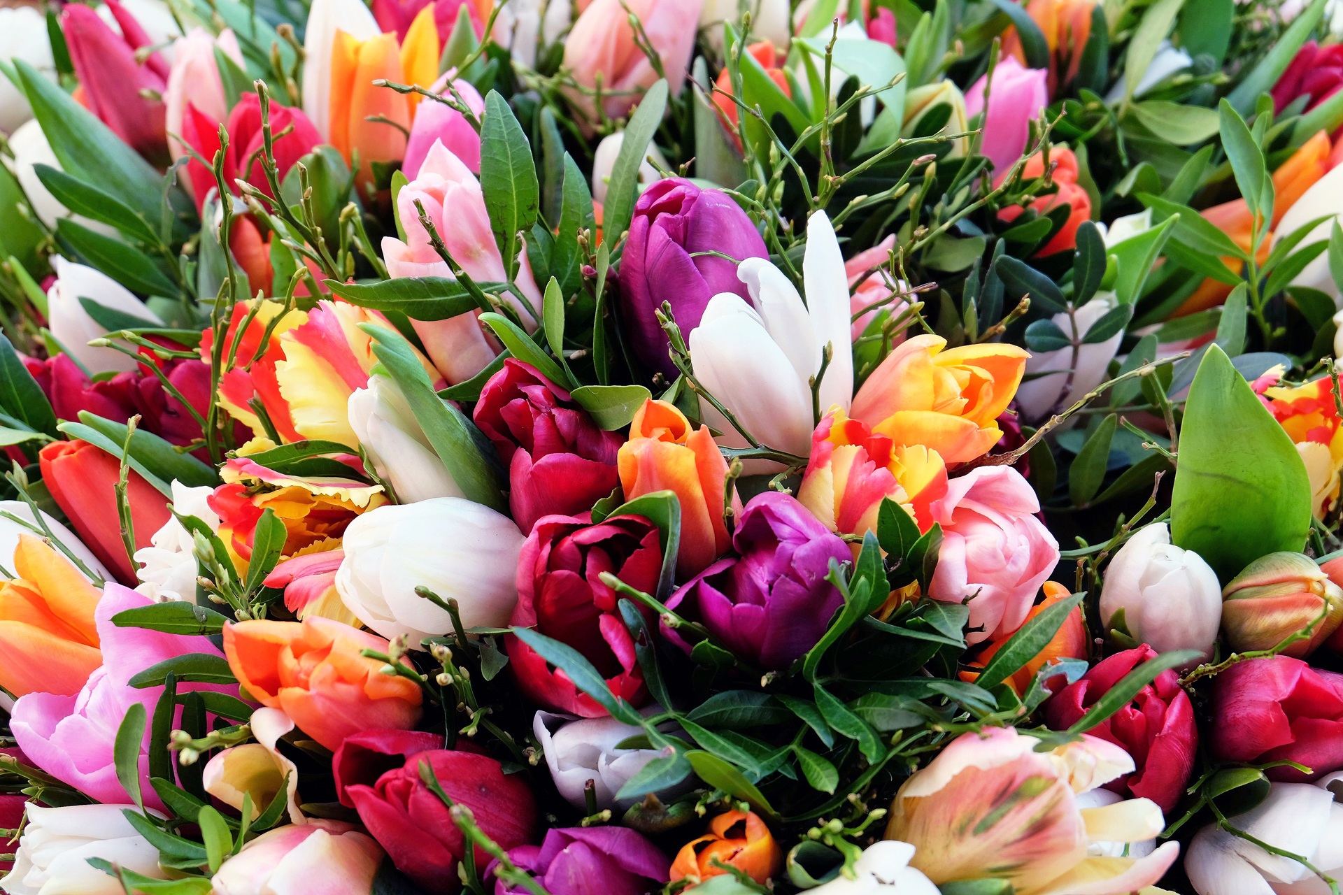 Free download wallpaper Flowers, Bouquet, Tulips on your PC desktop