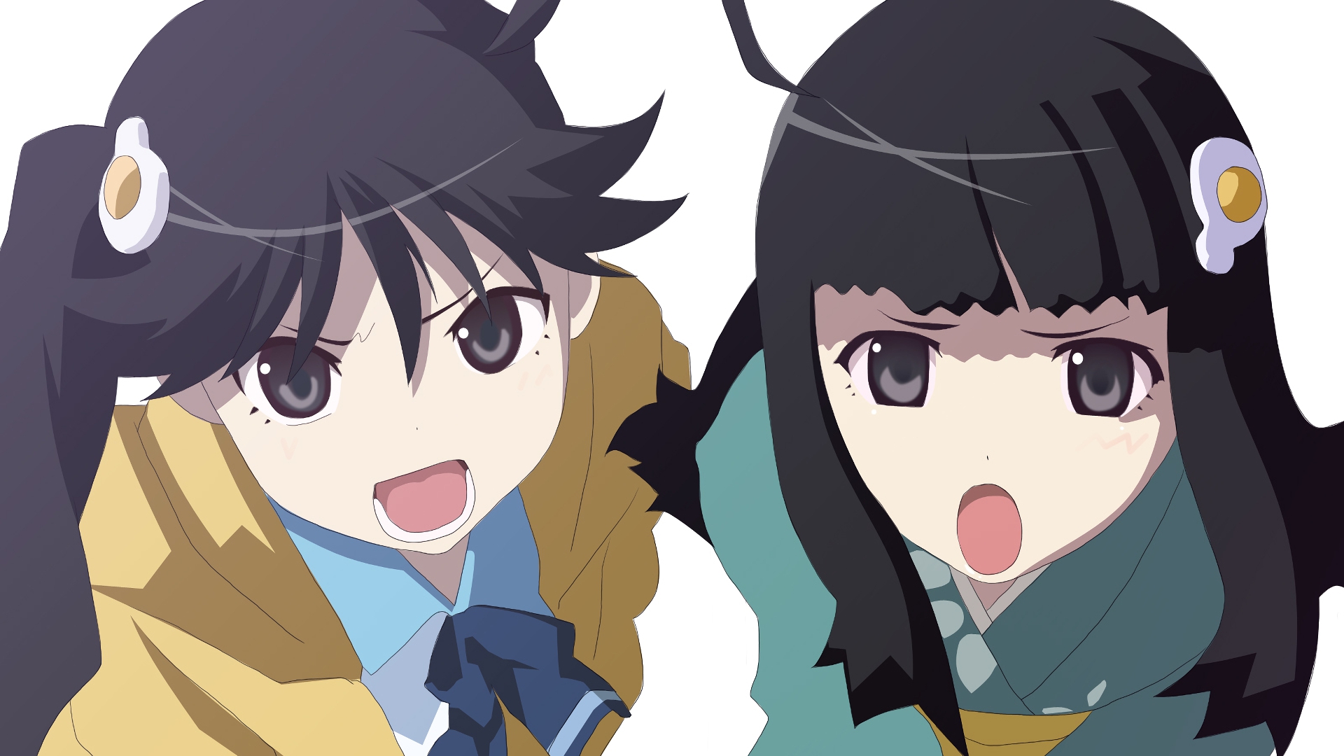 Download mobile wallpaper Anime, Long Hair, Monogatari (Series), Karen Araragi, Tsukihi Araragi for free.