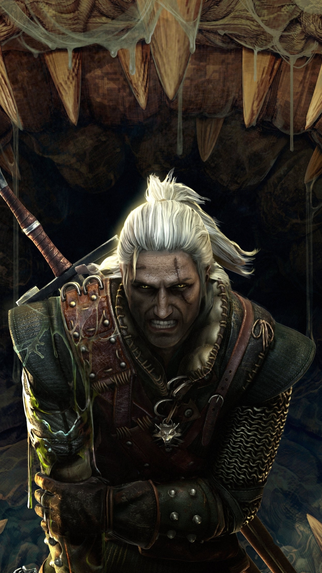 Download mobile wallpaper Video Game, The Witcher, The Witcher 2: Assassins Of Kings for free.