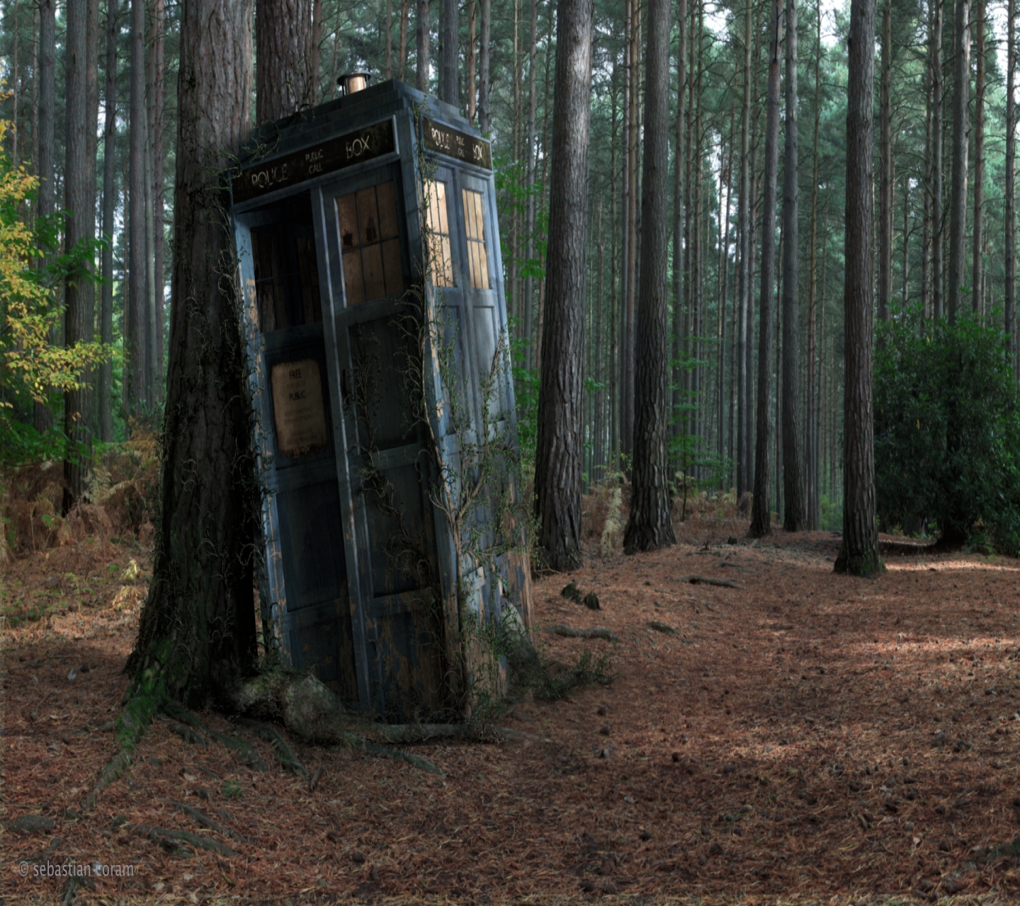 Laden Sie das Wald, Doctor Who, Fernsehserien, Tardis-Bild kostenlos auf Ihren PC-Desktop herunter