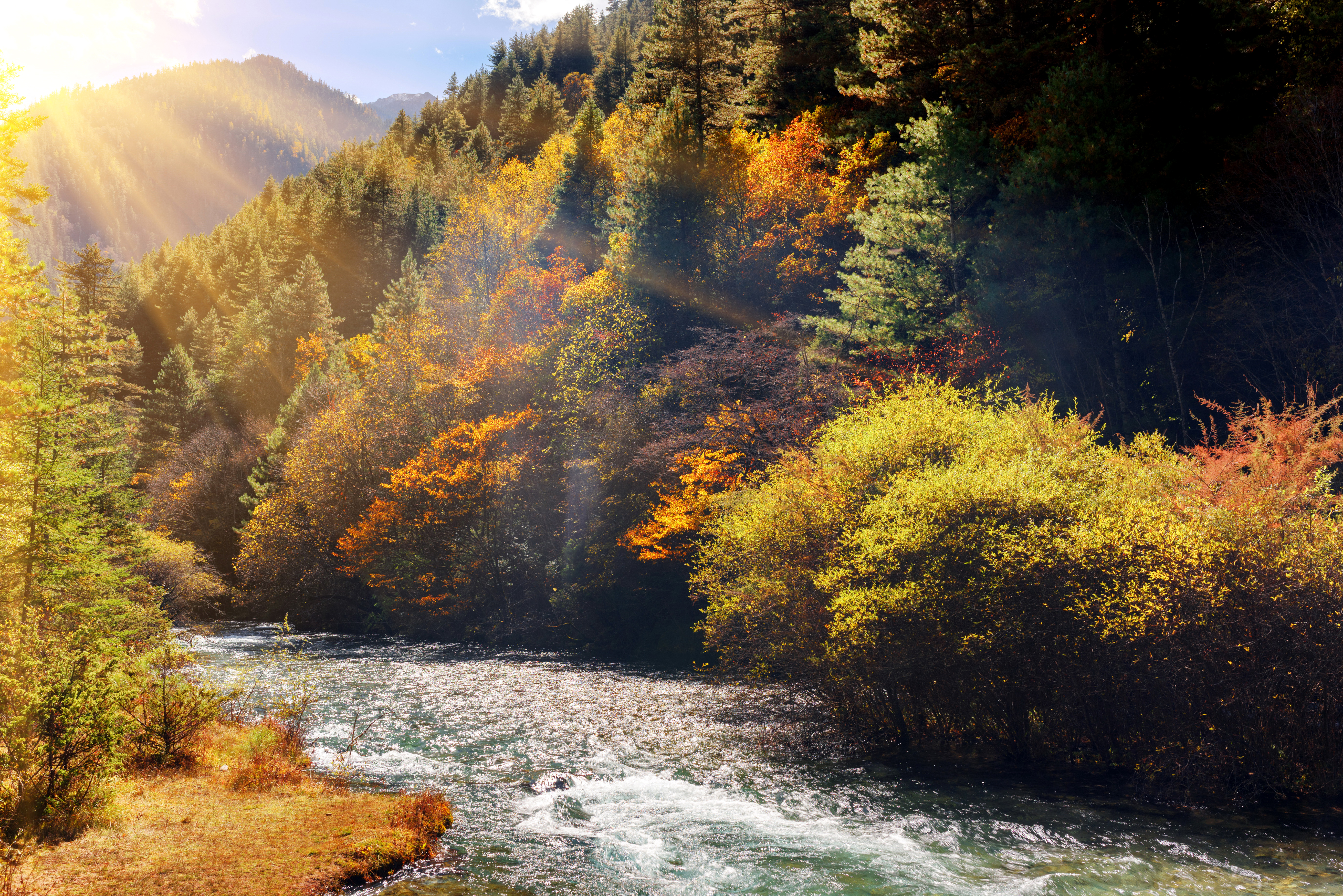 Handy-Wallpaper Natur, Herbst, Wald, Fluss, Sonnenstrahl, Erde/natur kostenlos herunterladen.