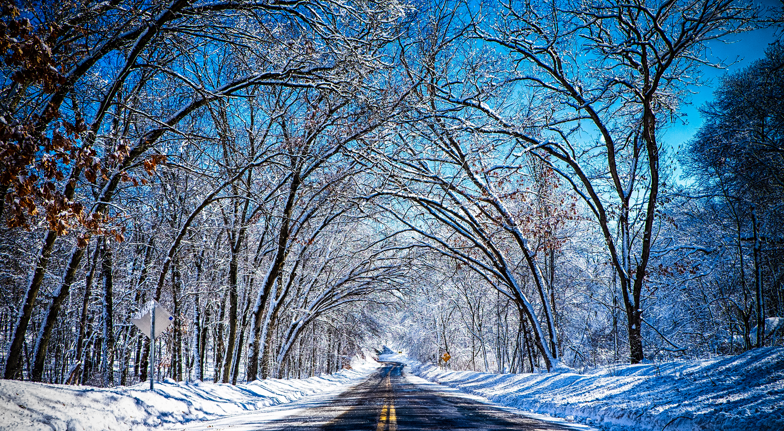 Descarga gratis la imagen Invierno, Nieve, Árbol, Carretera, Hecho Por El Hombre en el escritorio de tu PC