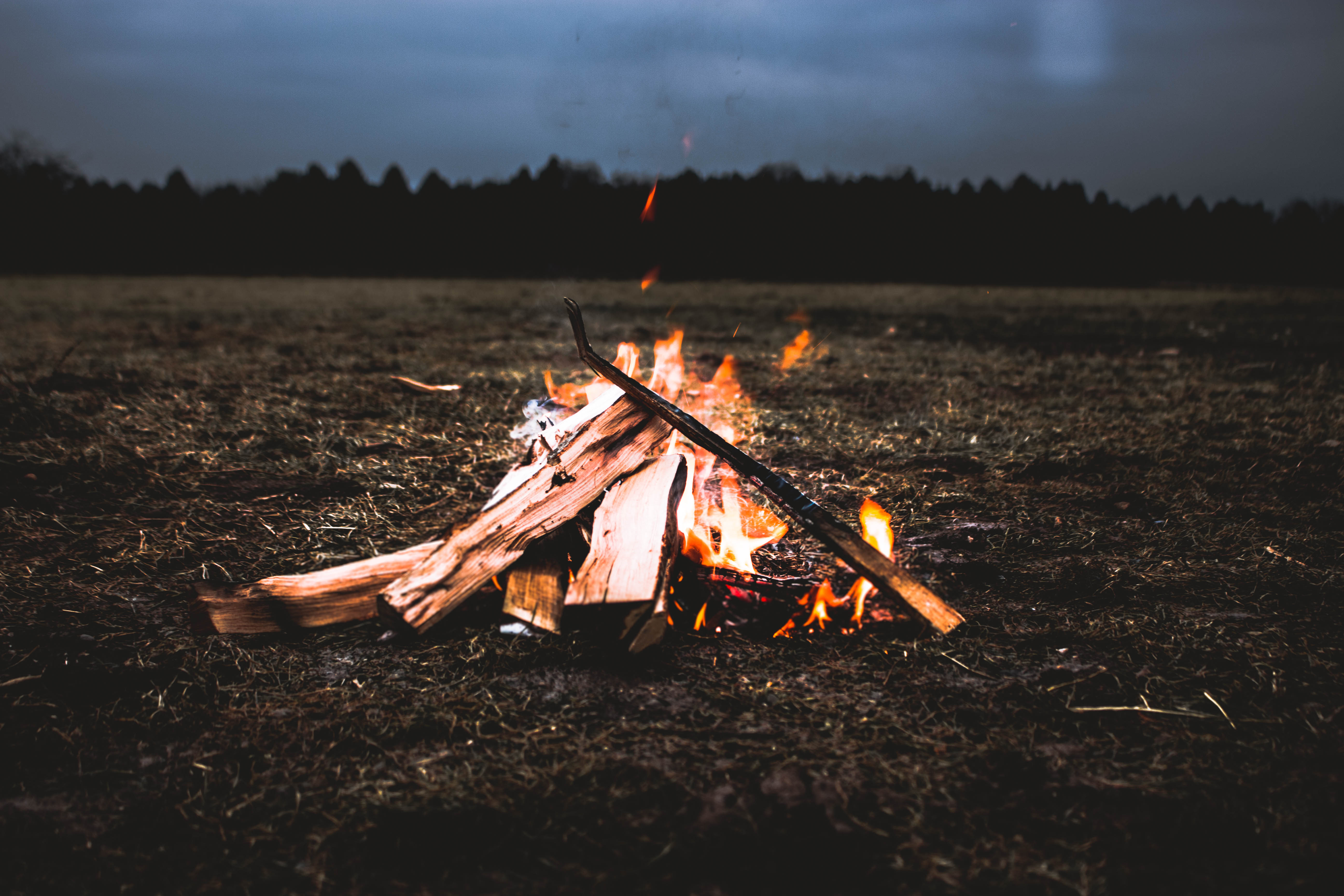 bonfire, fire, miscellanea, miscellaneous, firewood