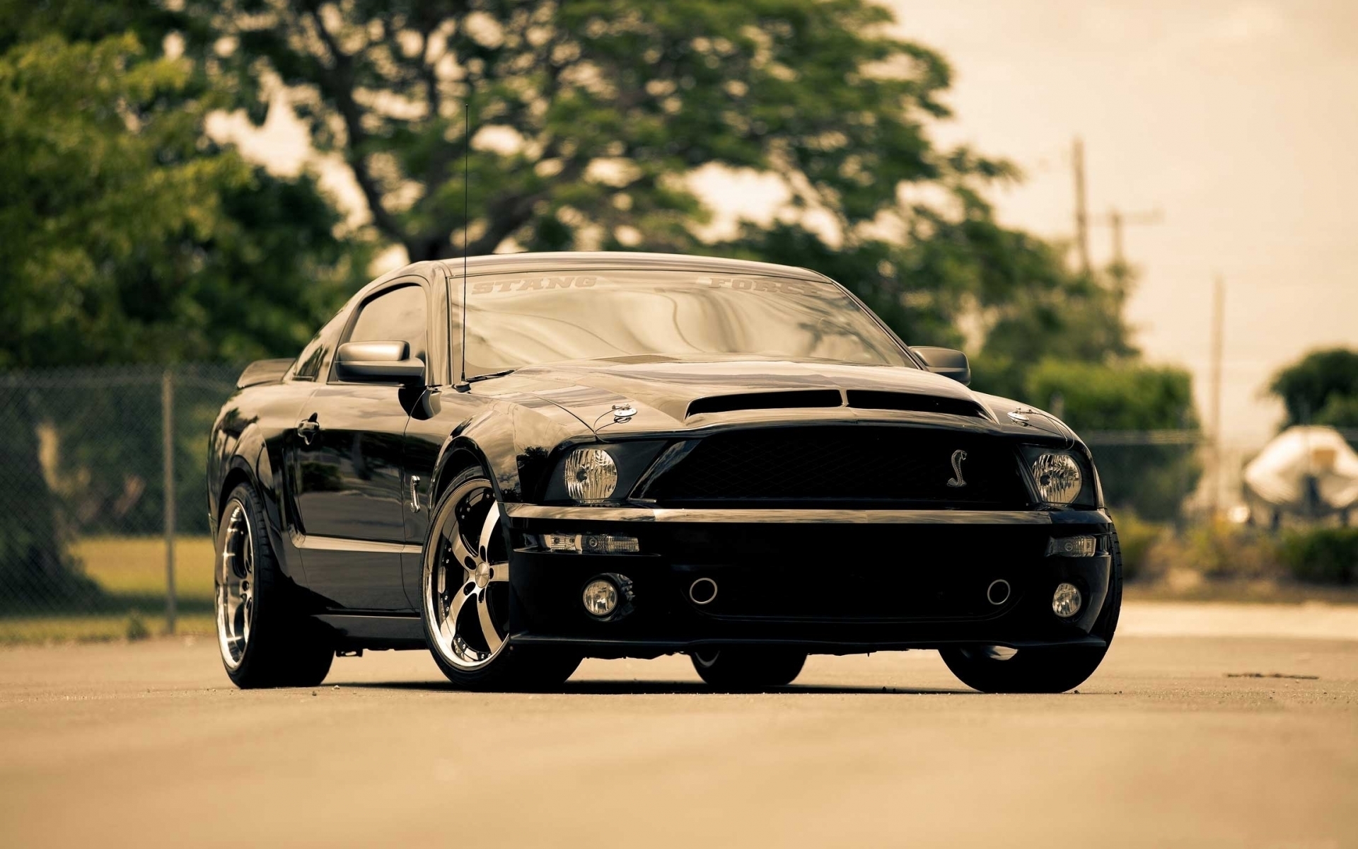 1920x1080 Background mustang, transport, auto