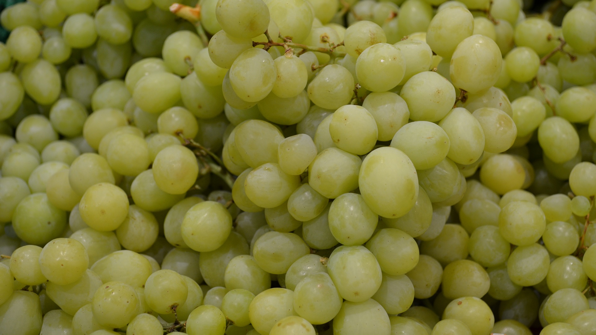 Download mobile wallpaper Grapes, Fruit, Fruits, Food, Close Up for free.