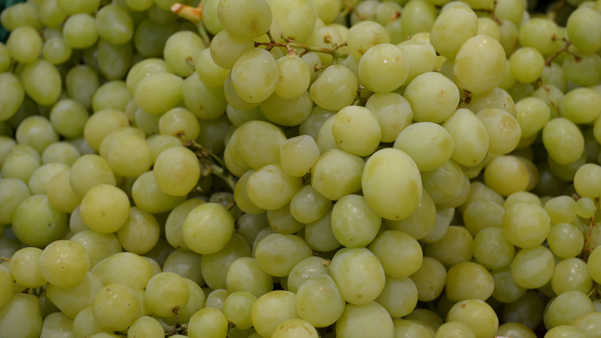 Baixar papel de parede para celular de Uvas, Fruta, Frutas, Comida, Fechar Se gratuito.