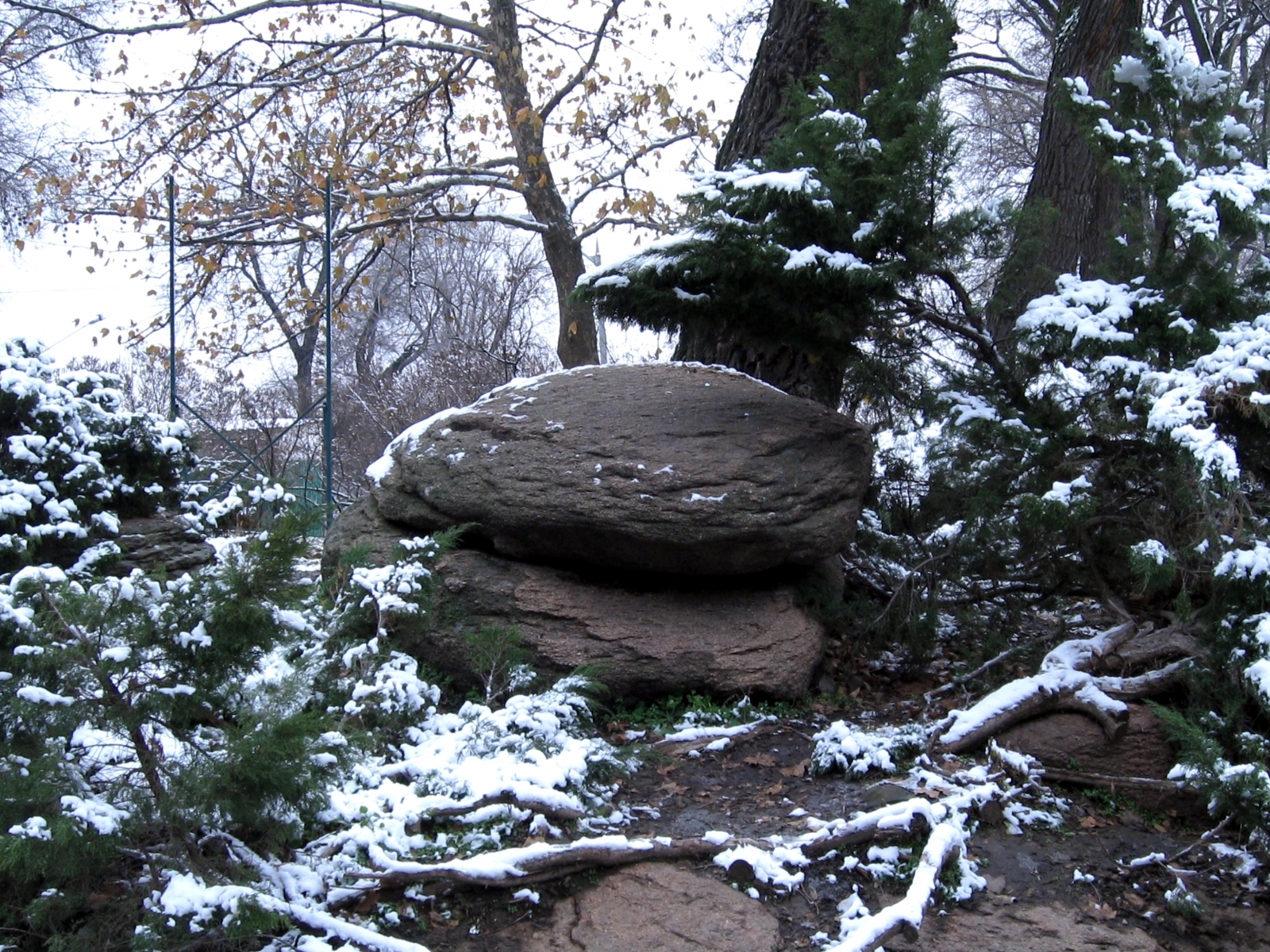 Baixe gratuitamente a imagem Inverno, Árvores, Pedras, Paisagem na área de trabalho do seu PC