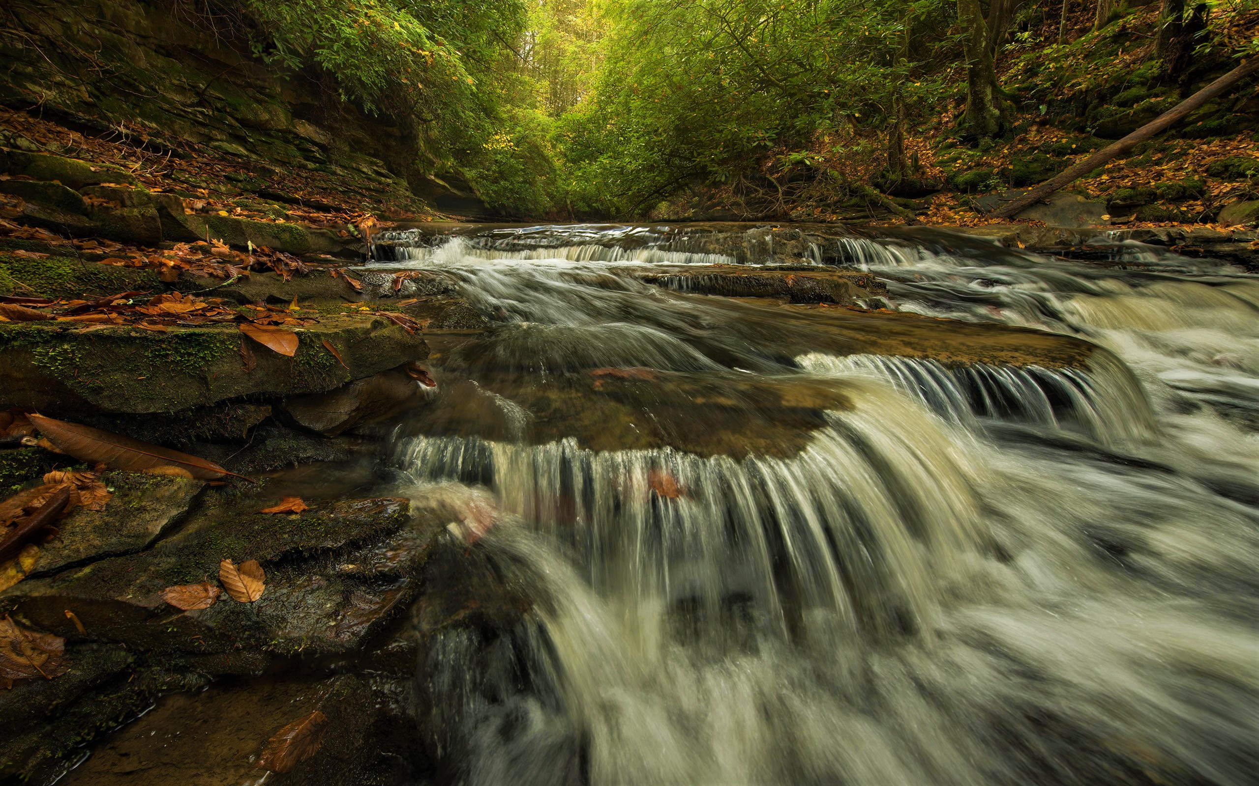 Laden Sie das Wasserfälle, Wasserfall, Wald, Strom, Erde/natur-Bild kostenlos auf Ihren PC-Desktop herunter