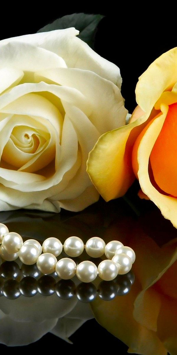 Free Still Life 4K Wallpapers & Desktop HD Backgrounds for PC