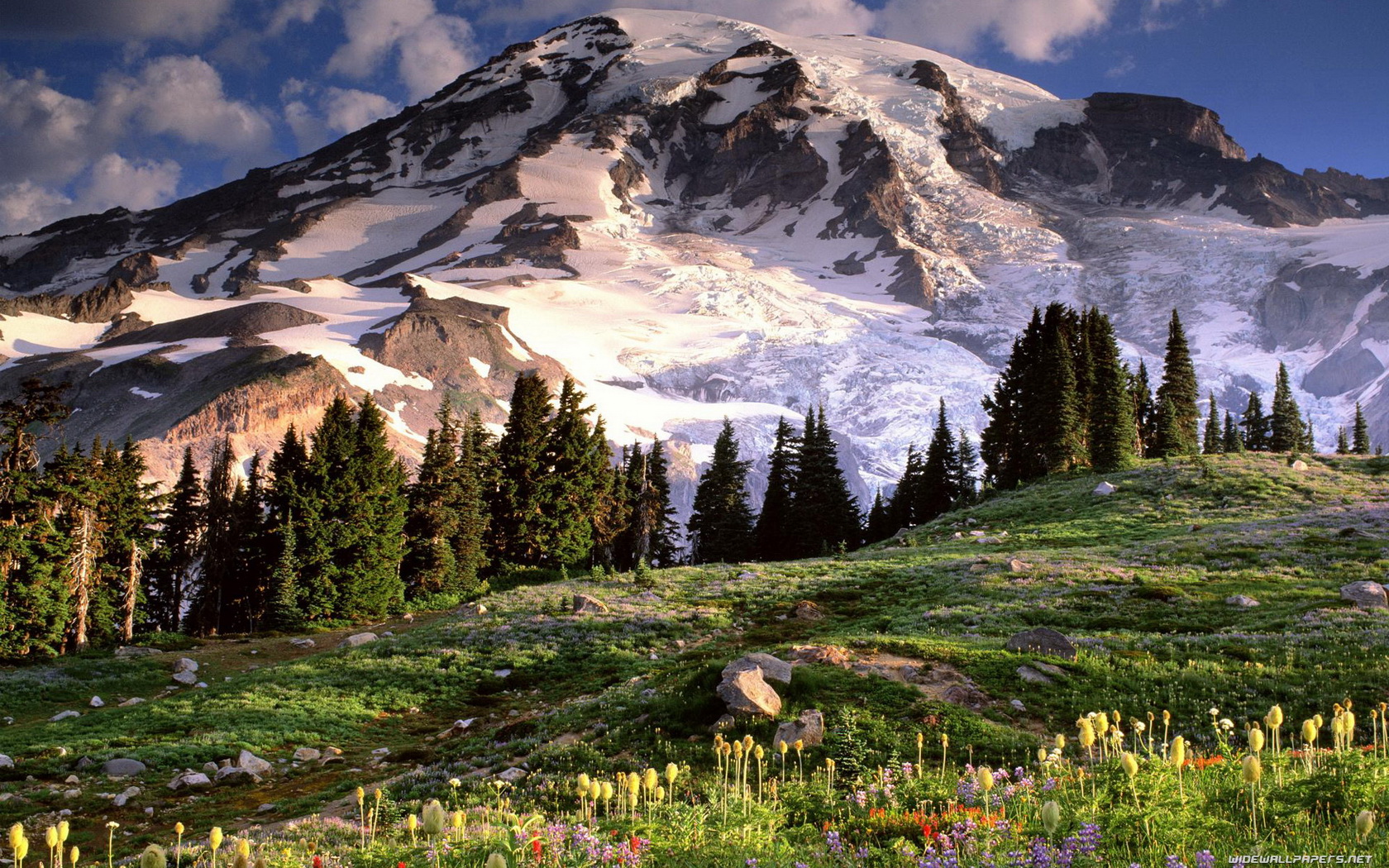158297 скачать обои весна, снег, горы, лёд, земля/природа, гора, цветок, ледник, луга, дерево - заставки и картинки бесплатно