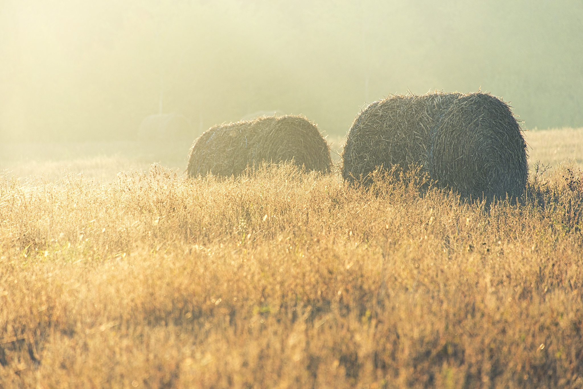 Descarga gratuita de fondo de pantalla para móvil de Naturaleza, Verano, Campo, Soleado, Almiar, Tierra/naturaleza.