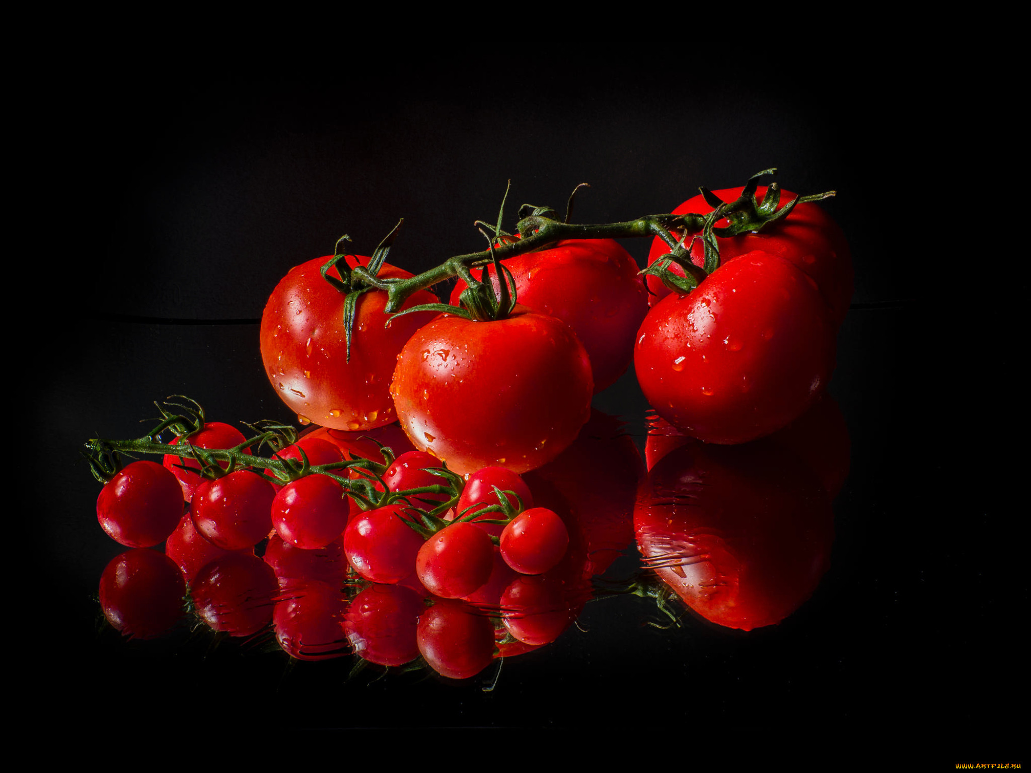 Handy-Wallpaper Tomate, Nahrungsmittel, Früchte kostenlos herunterladen.