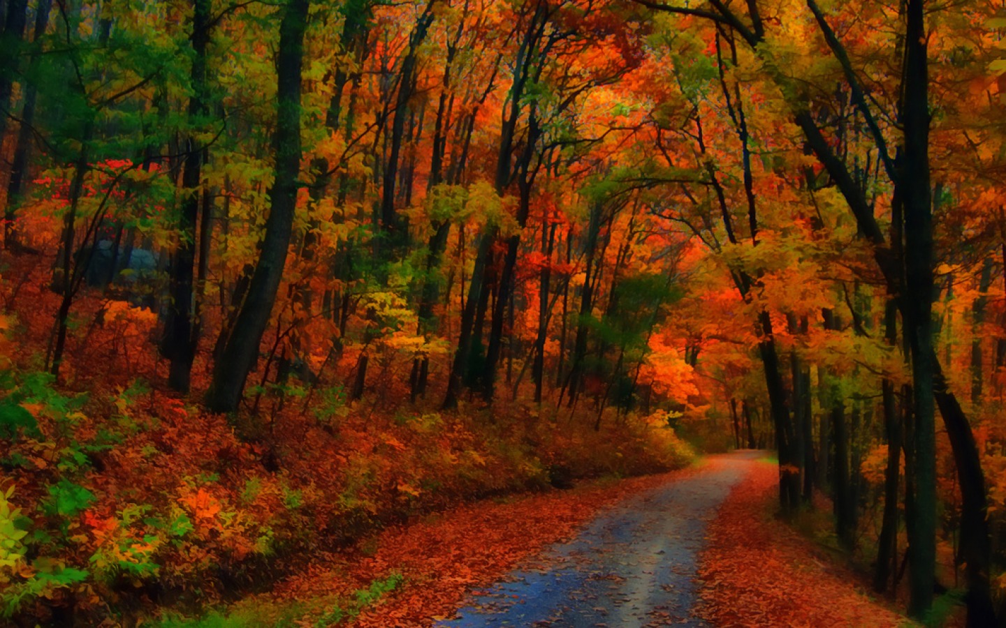 Téléchargez gratuitement l'image Automne, Route, Forêt, Arbre, Feuille, Construction Humaine sur le bureau de votre PC