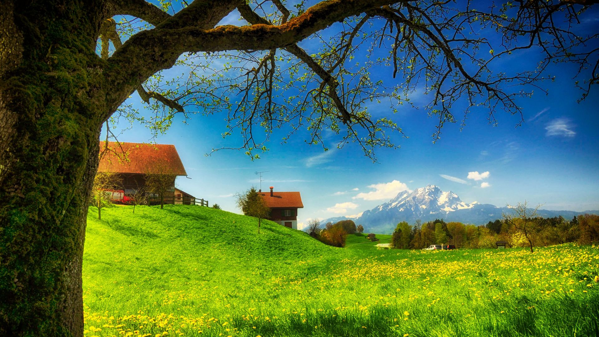 Download mobile wallpaper Grass, Mountain, Tree, House, Man Made for free.