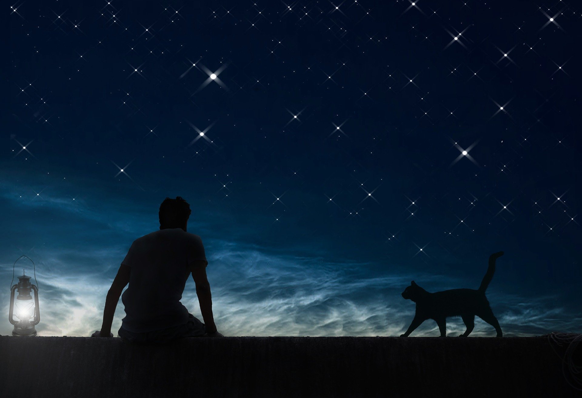 Laden Sie das Menschen, Sterne, Katze, Nacht, Künstlerisch, Sternenklarer Himmel-Bild kostenlos auf Ihren PC-Desktop herunter