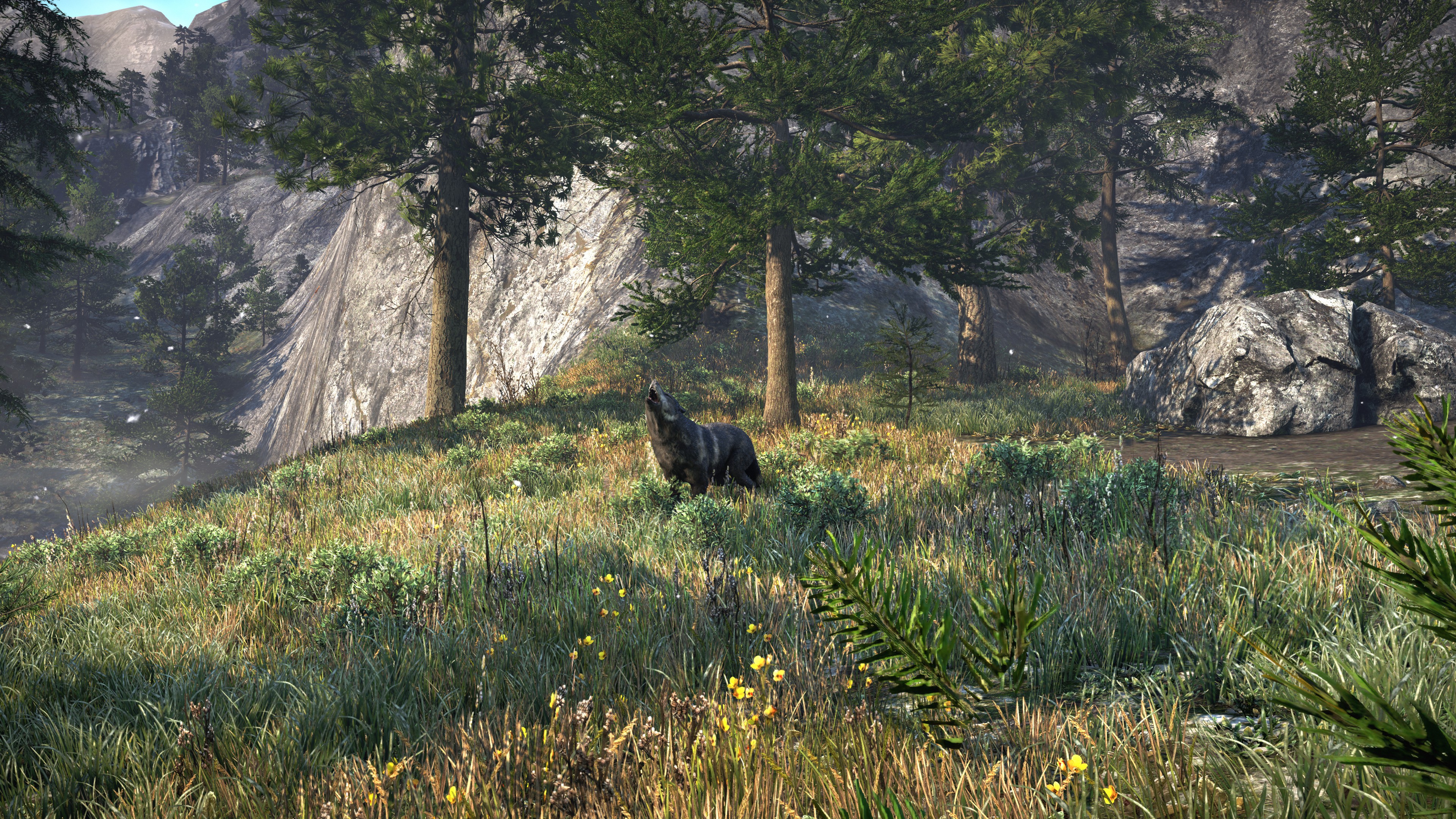 Laden Sie das Wolf, Computerspiele, Far Cry, Far Cry 4-Bild kostenlos auf Ihren PC-Desktop herunter