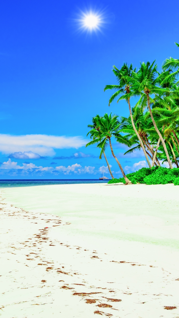 Download mobile wallpaper Nature, Sky, Sun, Beach, Sand, Horizon, Ocean, Earth, Tropical, Cloud, Palm Tree for free.