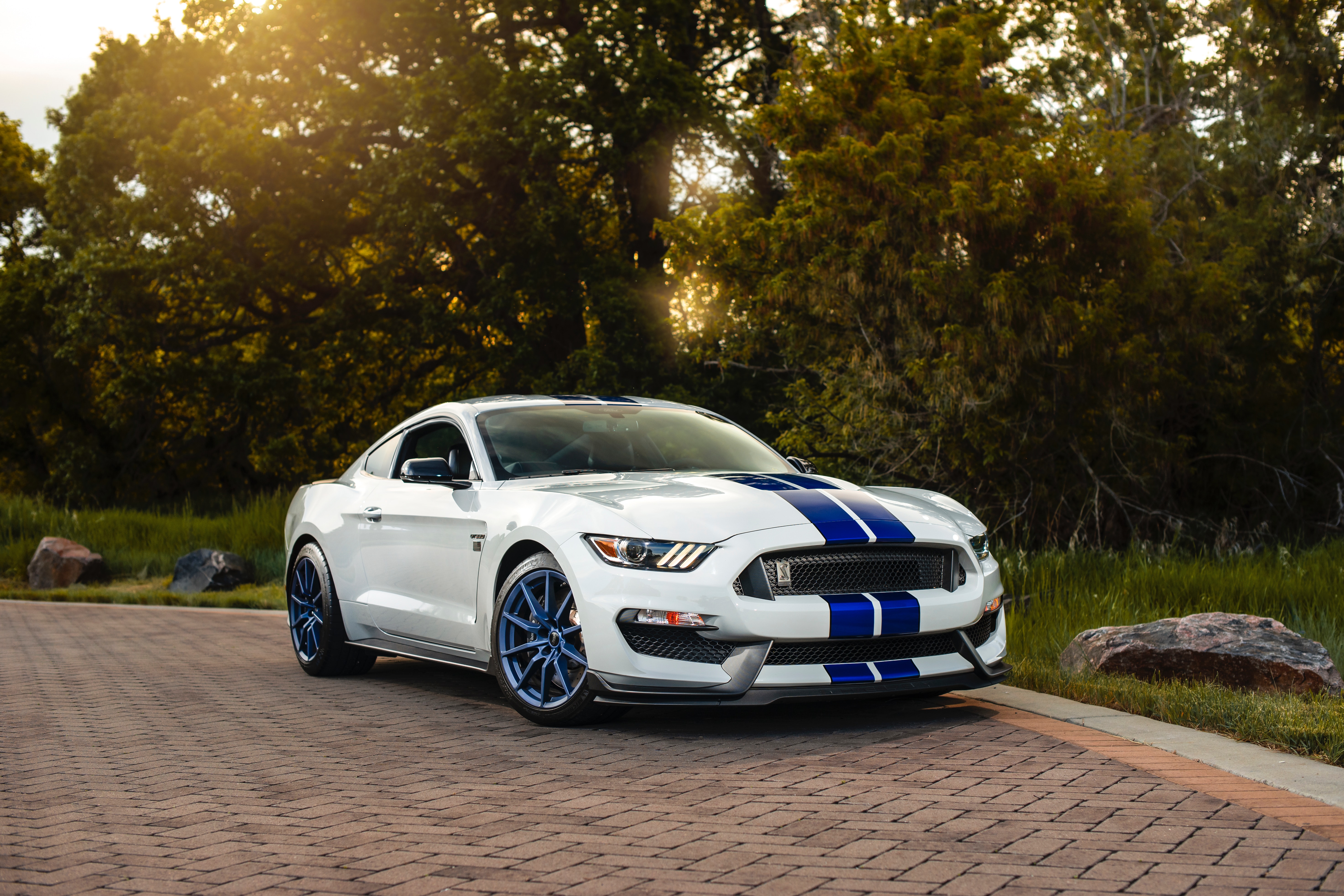 side view, sports car, car, ford mustang gt350, cars, white, sports, ford, machine Full HD