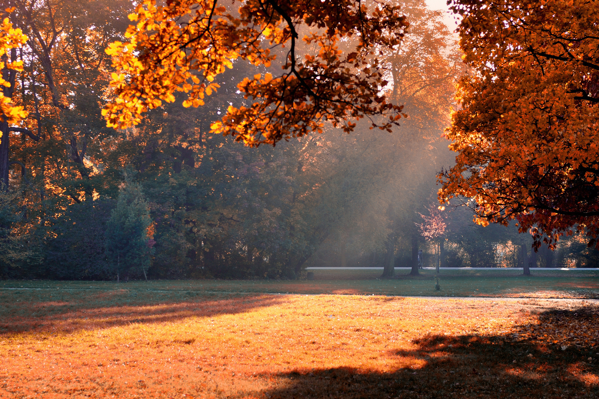 Handy-Wallpaper Herbst, Erde/natur kostenlos herunterladen.