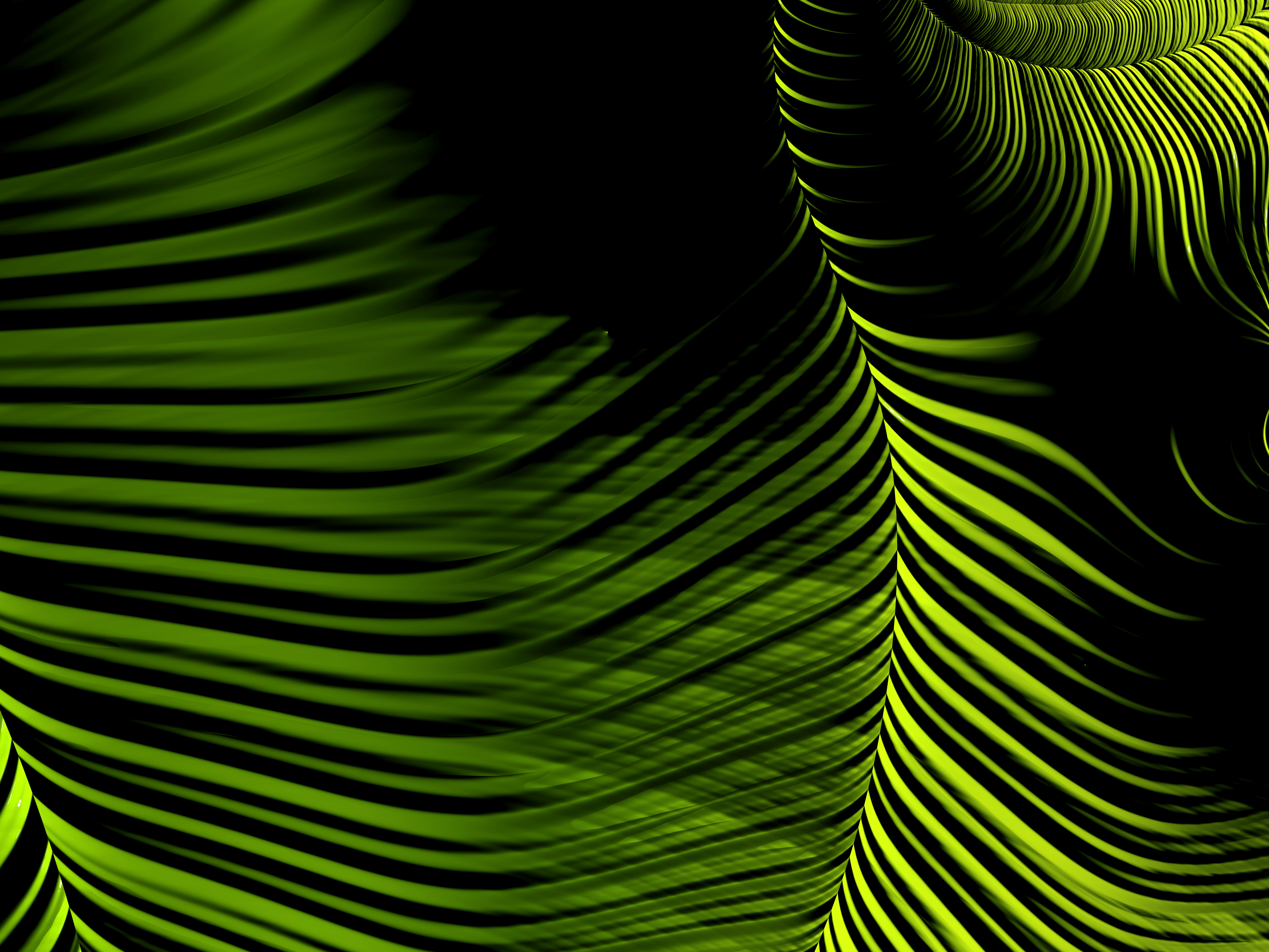 Download mobile wallpaper Winding, Sinuous, Lines, Fractal, Abstract for free.