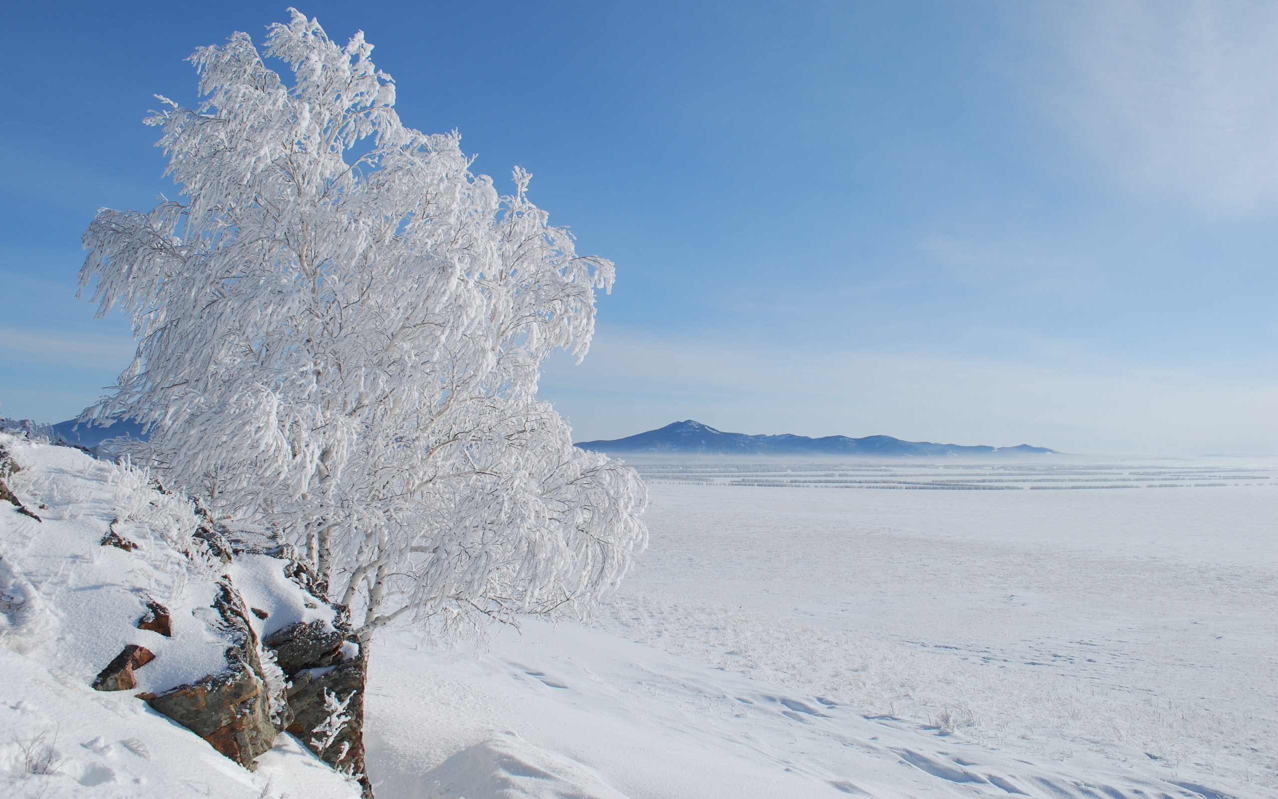 Free download wallpaper Winter, Earth on your PC desktop