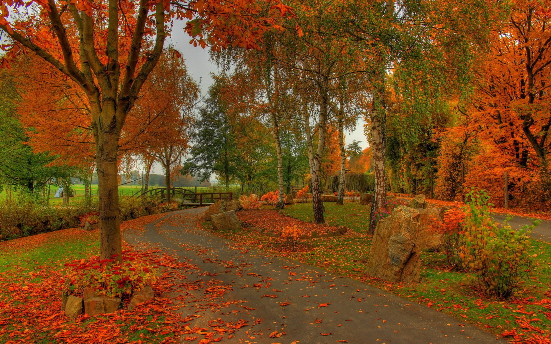 Download mobile wallpaper Park, Tree, Fall, Path, Photography for free.