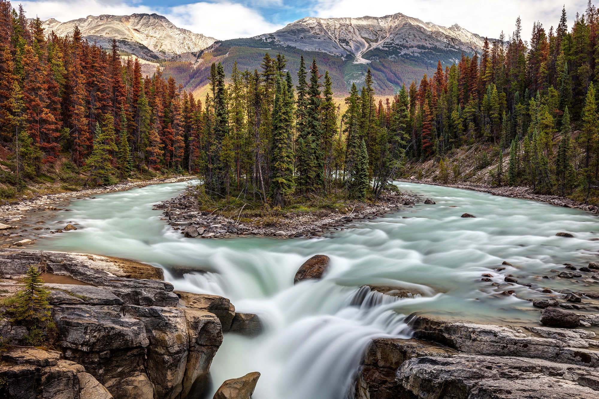 Скачать картинку Природа, Река, Канада, Лес, Земля/природа, Национальный Парк Джаспер в телефон бесплатно.