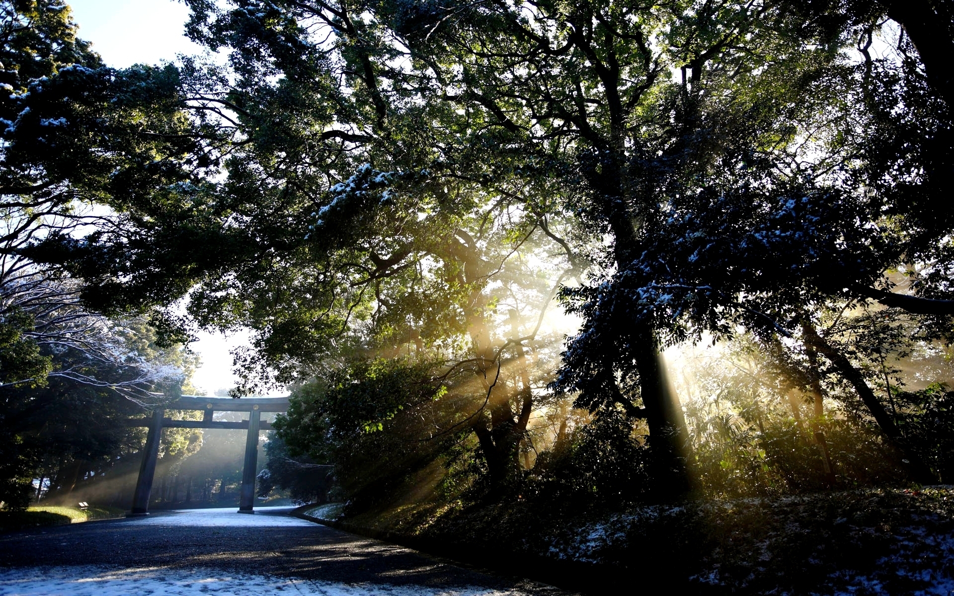 Descarga gratuita de fondo de pantalla para móvil de Invierno, Tierra/naturaleza.