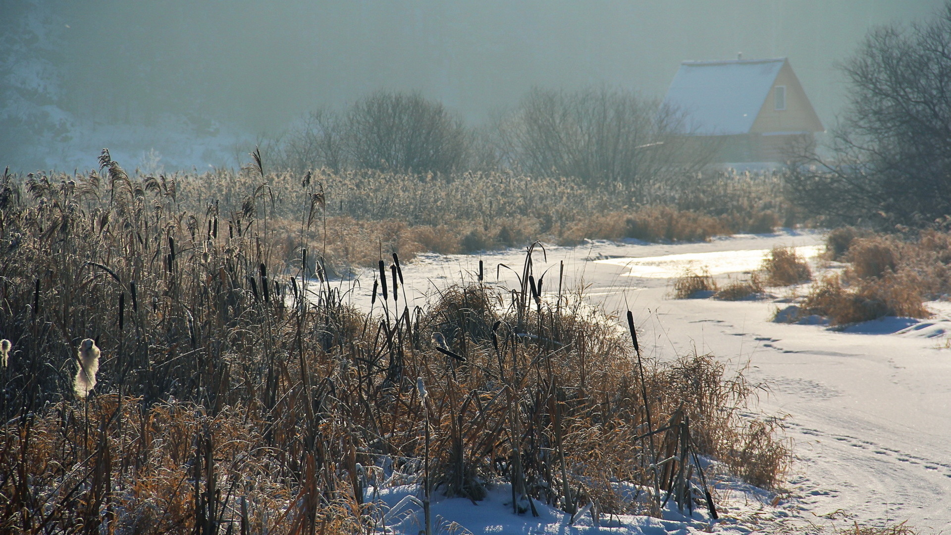 Descarga gratis la imagen Invierno, Fotografía en el escritorio de tu PC