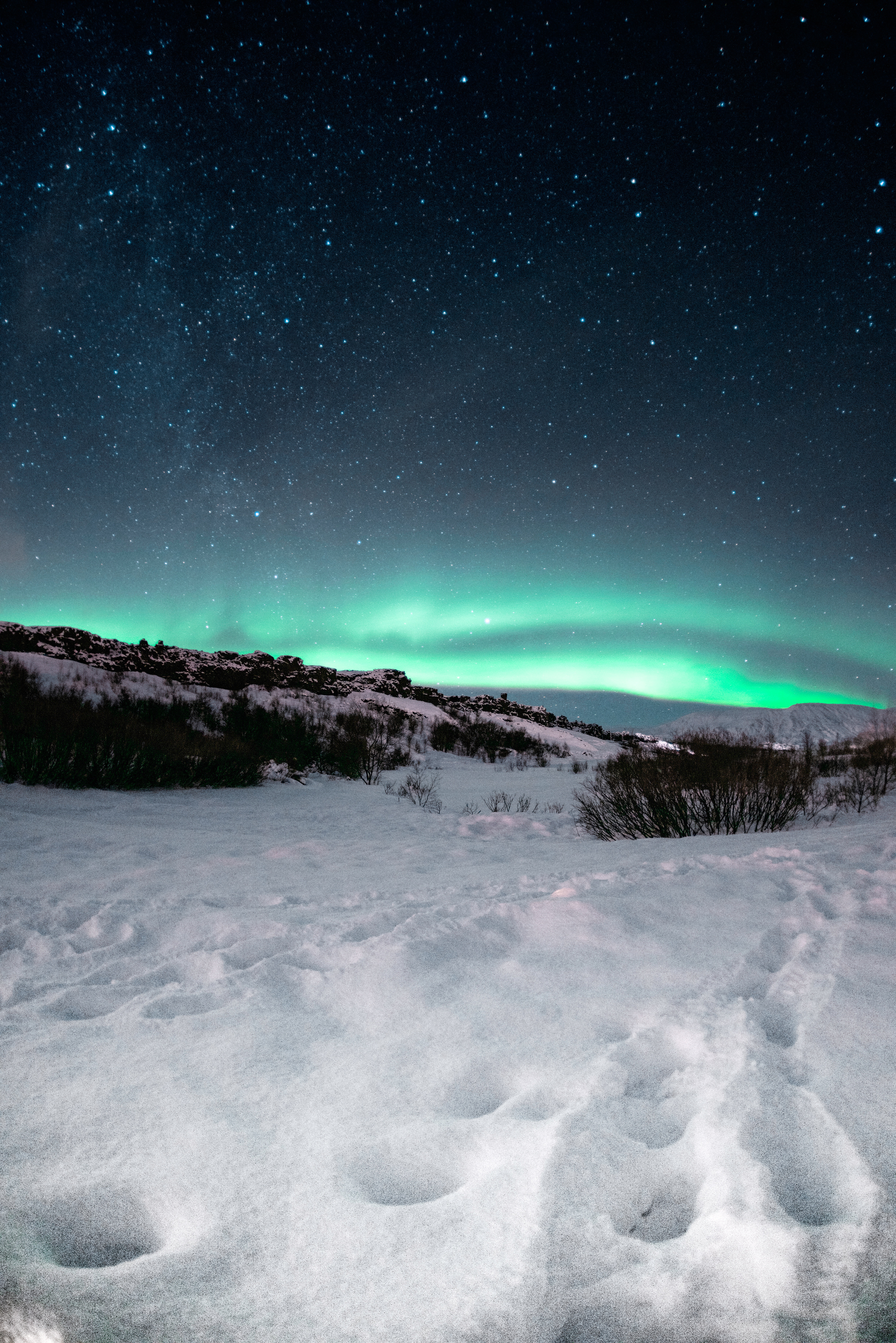 aurora borealis, northern lights, aurora, night, north, landscape, nature, snow, starry sky