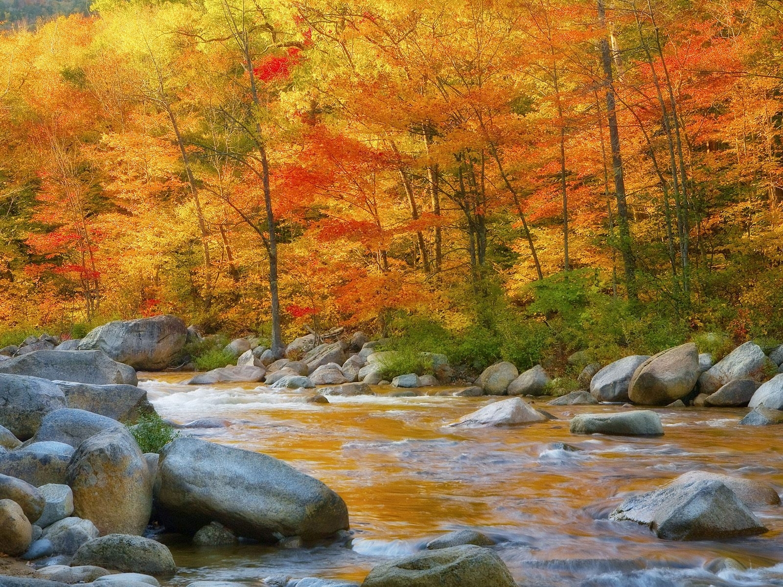 2458 завантажити картинку осінь, пейзаж, вода, річка, дерева, камені - шпалери і заставки безкоштовно