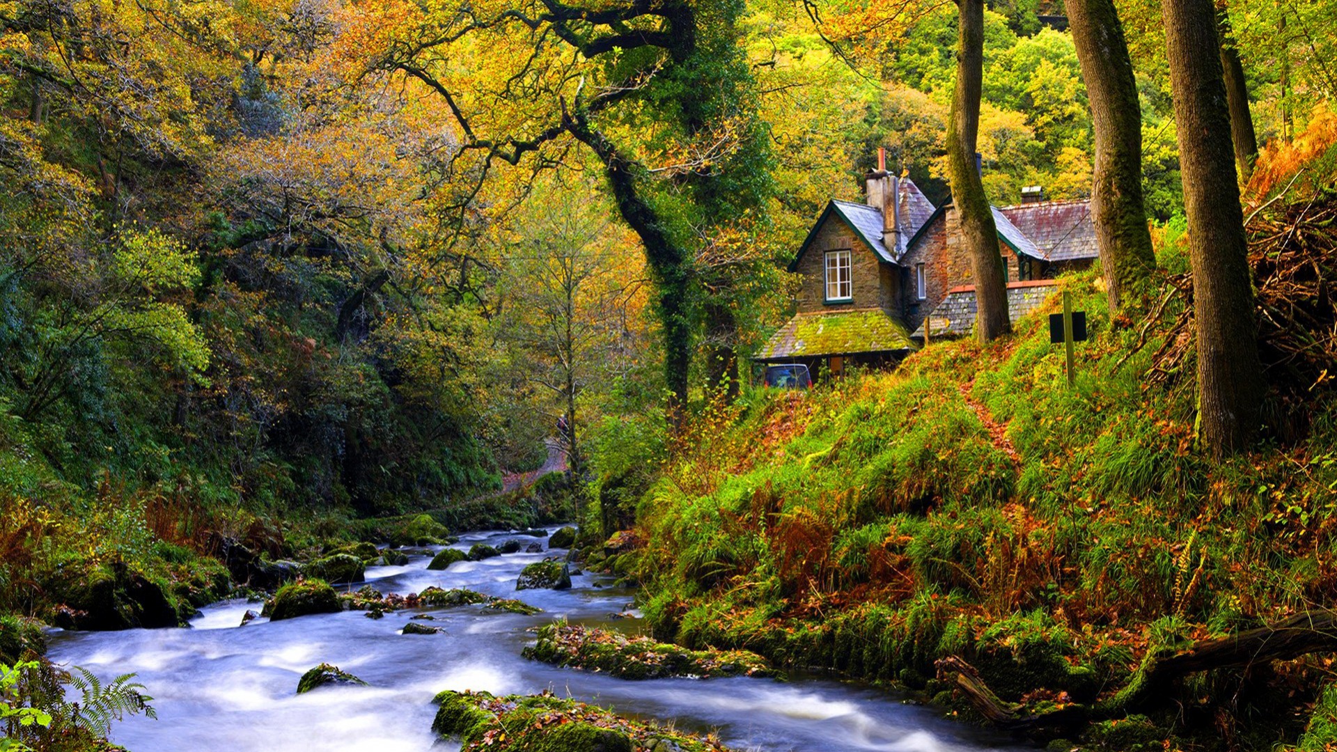 Download mobile wallpaper Forest, Tree, House, Stream, River, Man Made for free.